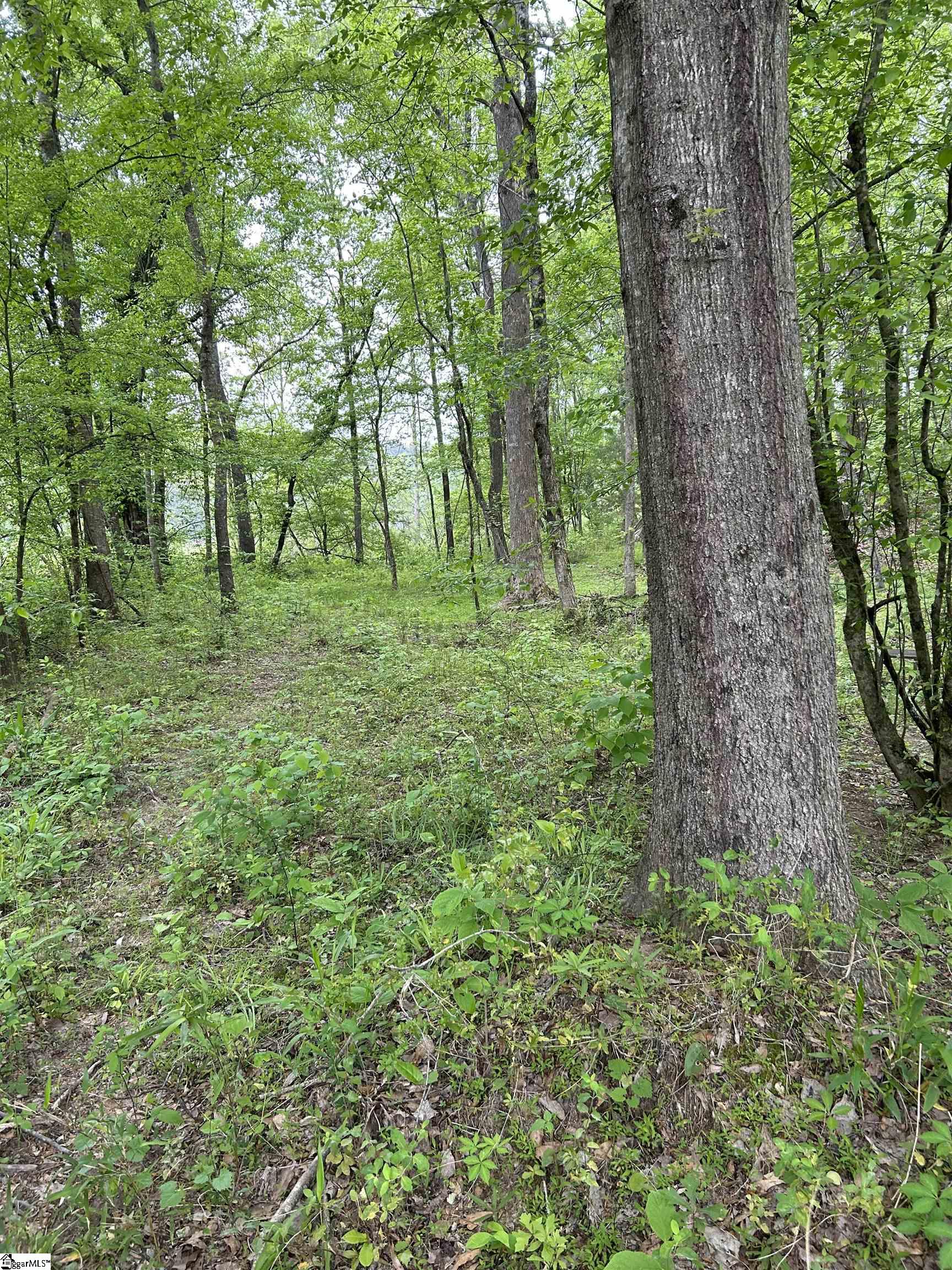 334 Ridge Road Salem, SC 29676