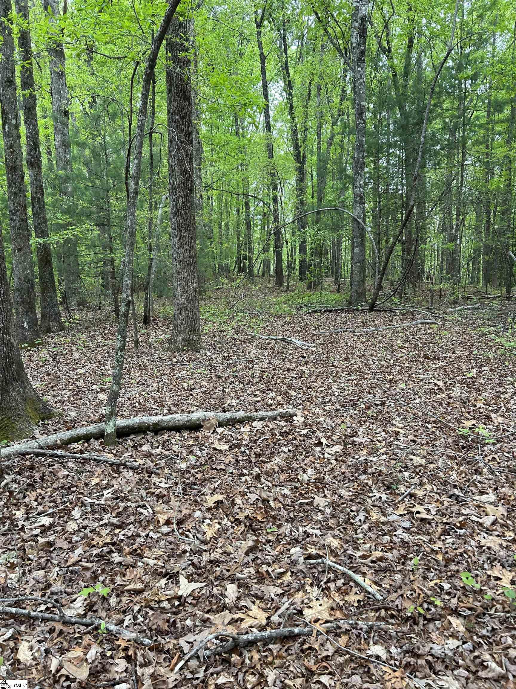334 Ridge Road Salem, SC 29676