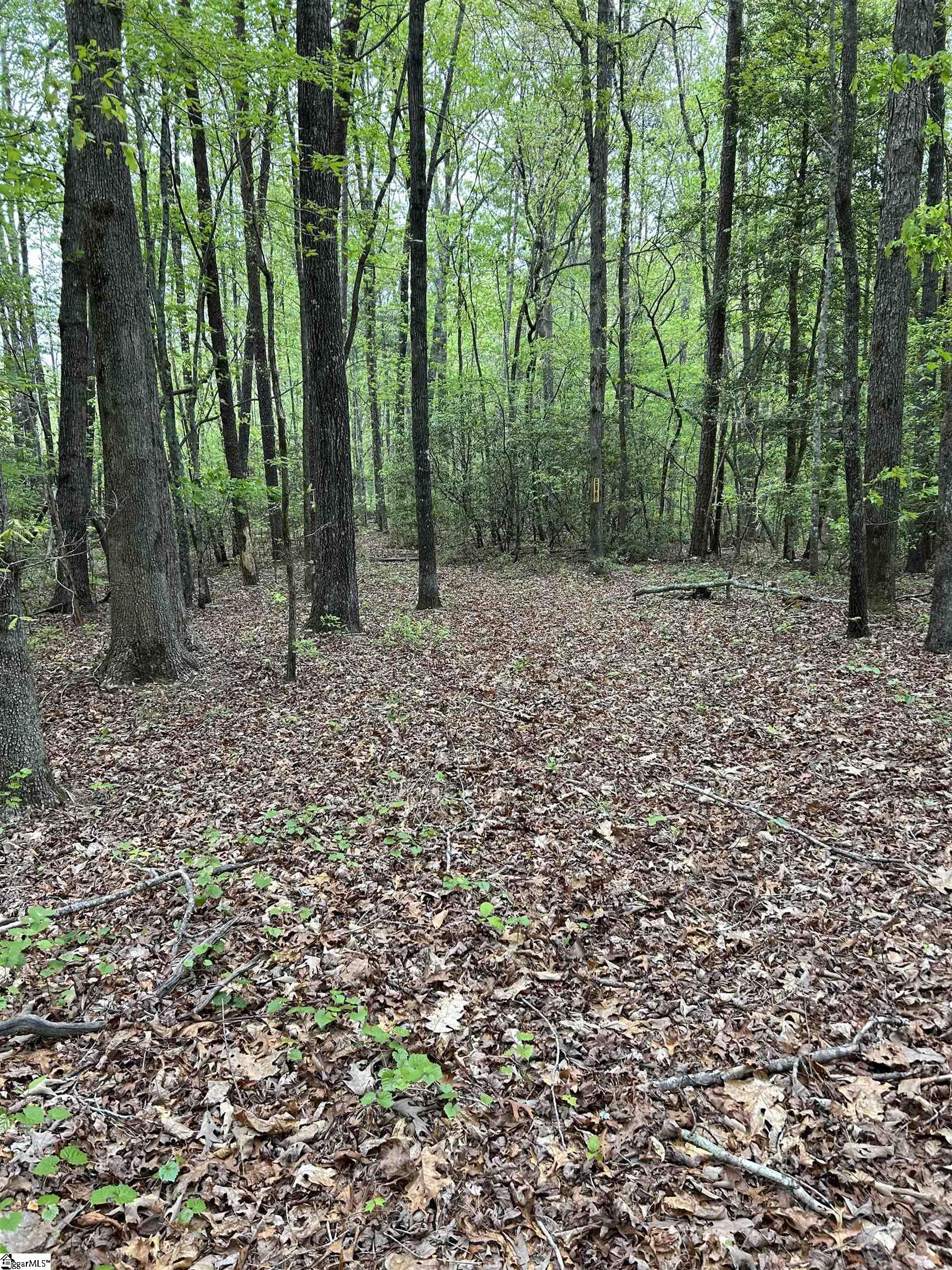 334 Ridge Road Salem, SC 29676