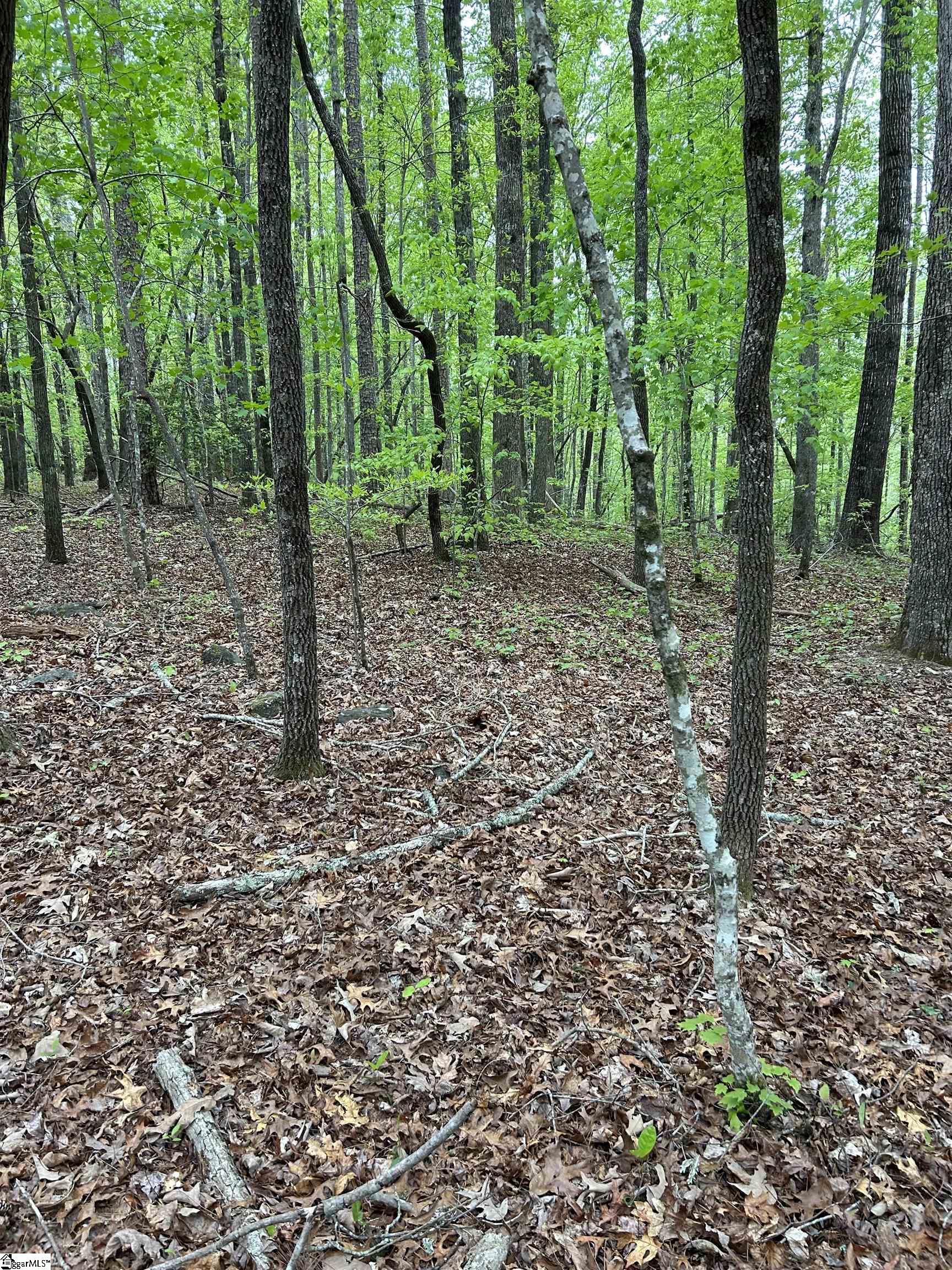 334 Ridge Road Salem, SC 29676
