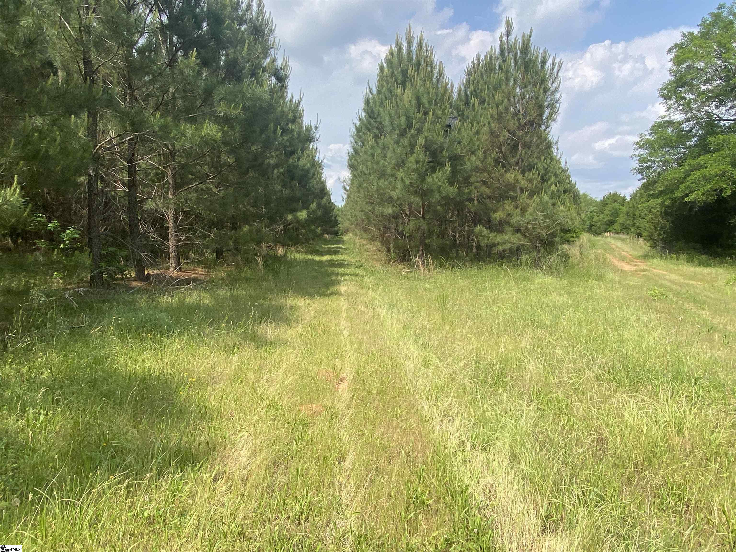3393 Poplar Springs Road Ware Shoals, SC 29692