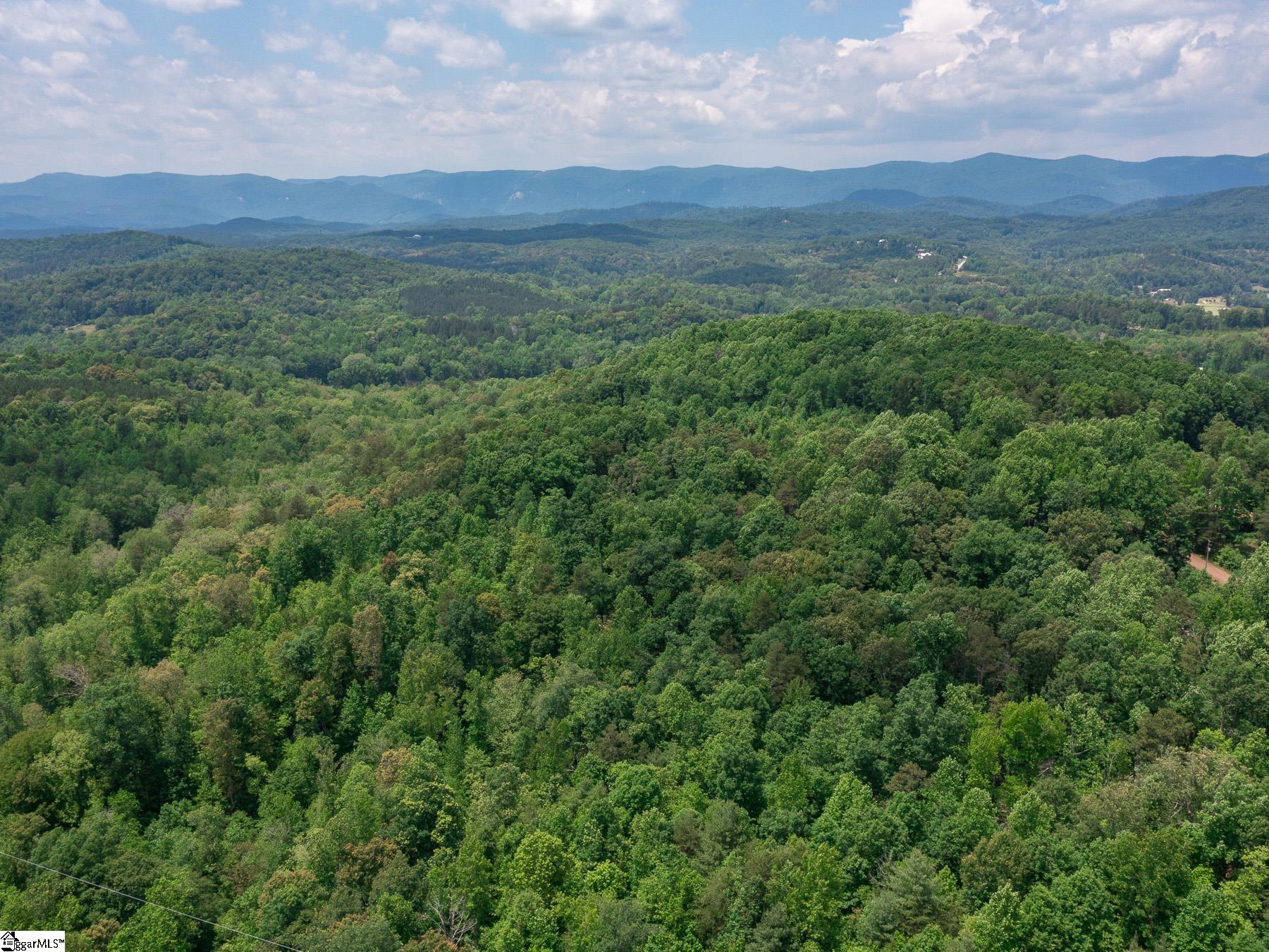 31 W Ridge Drive Travelers Rest, SC 29690