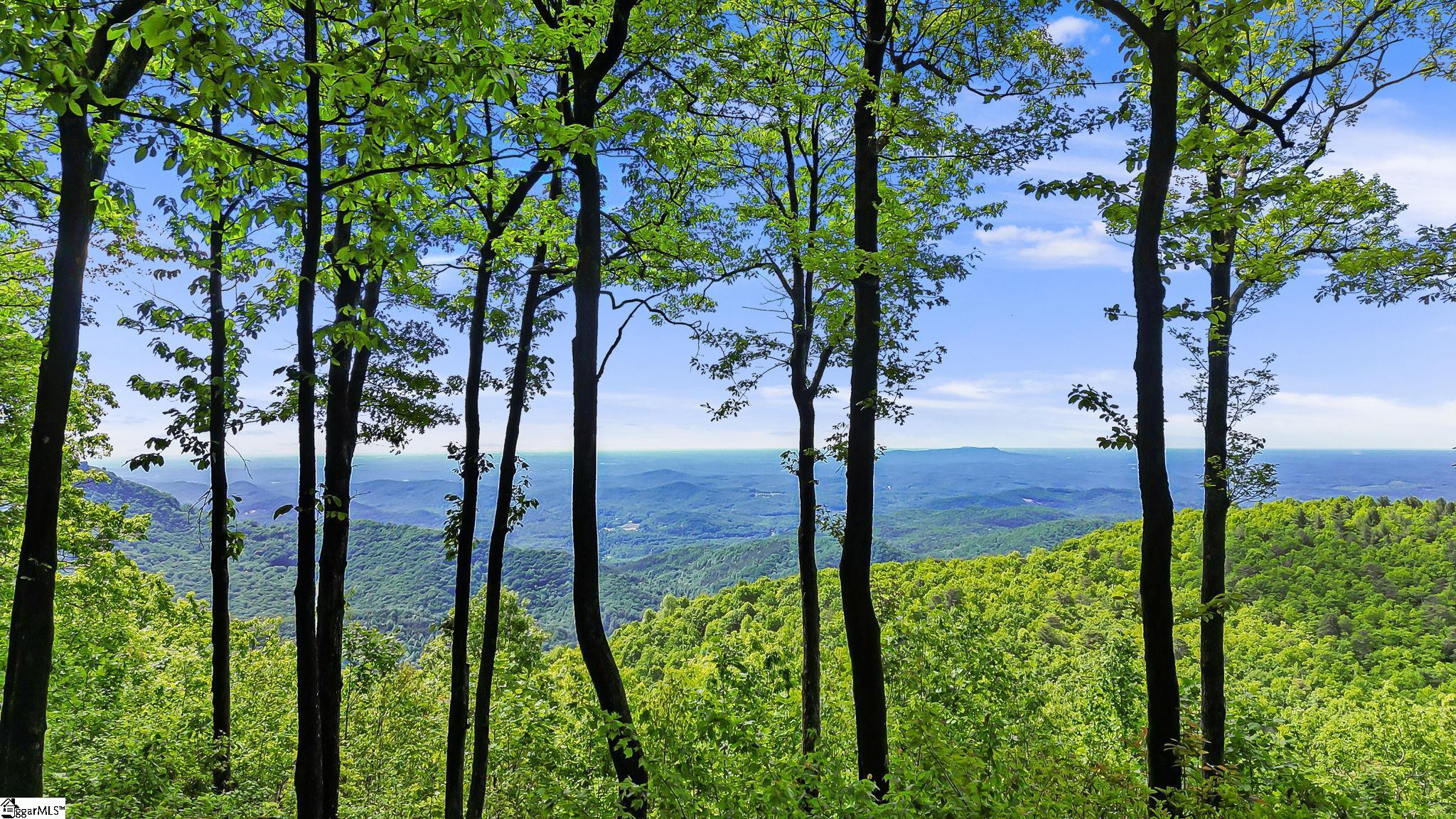 00 Mackerel Mountain Road Zirconia, NC 28790