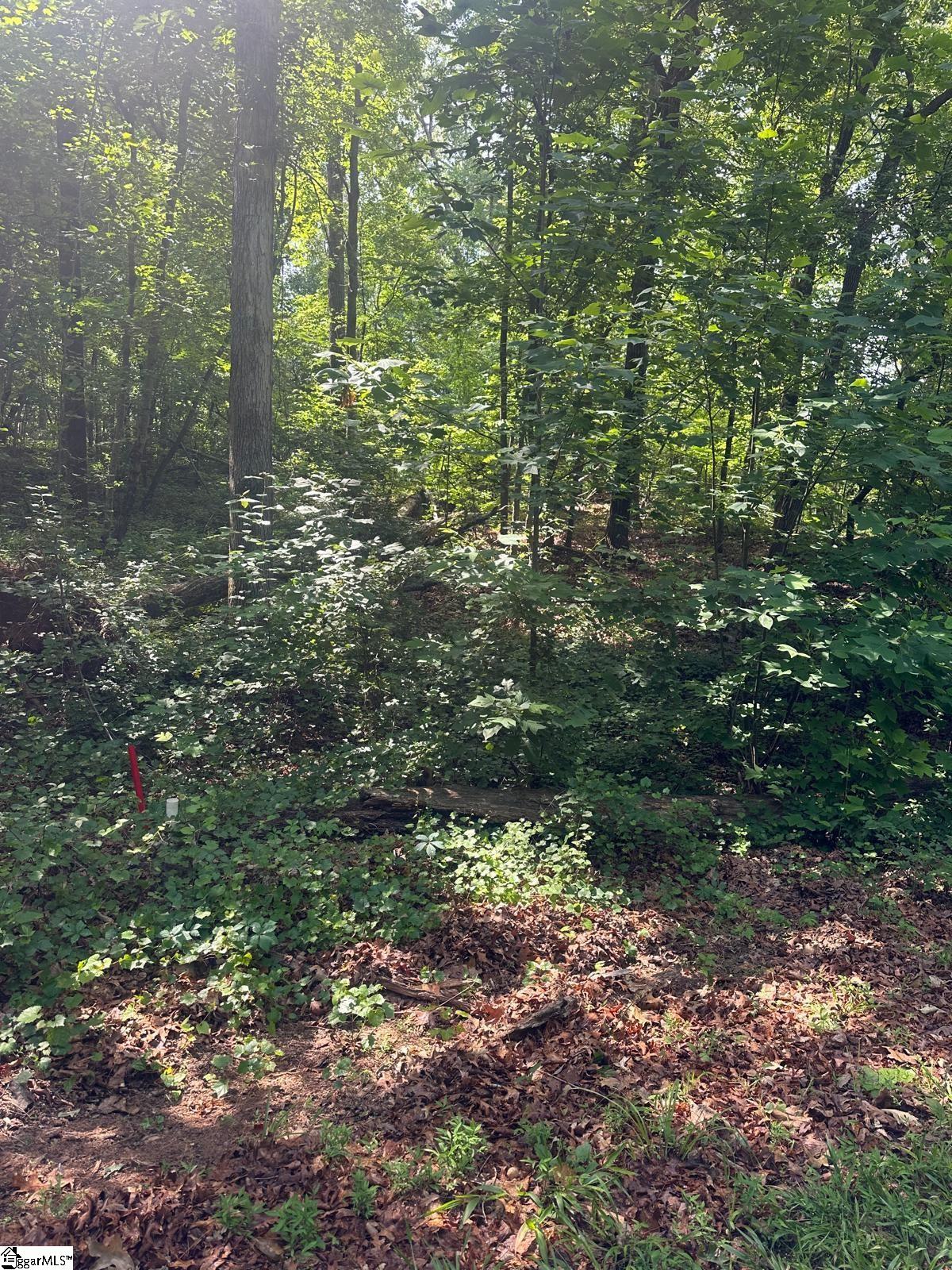 0 Shannandoah Drive Lot 15