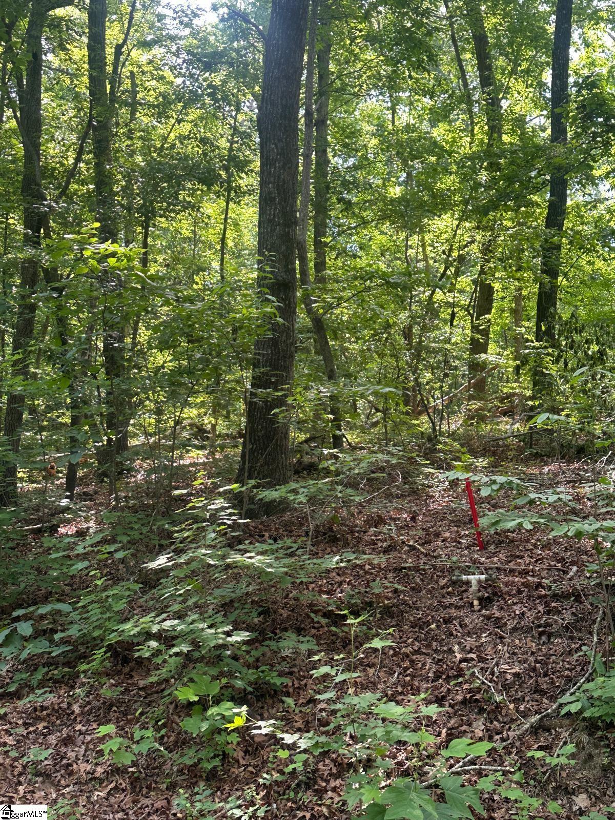 0 Shannandoah Drive Lot 15