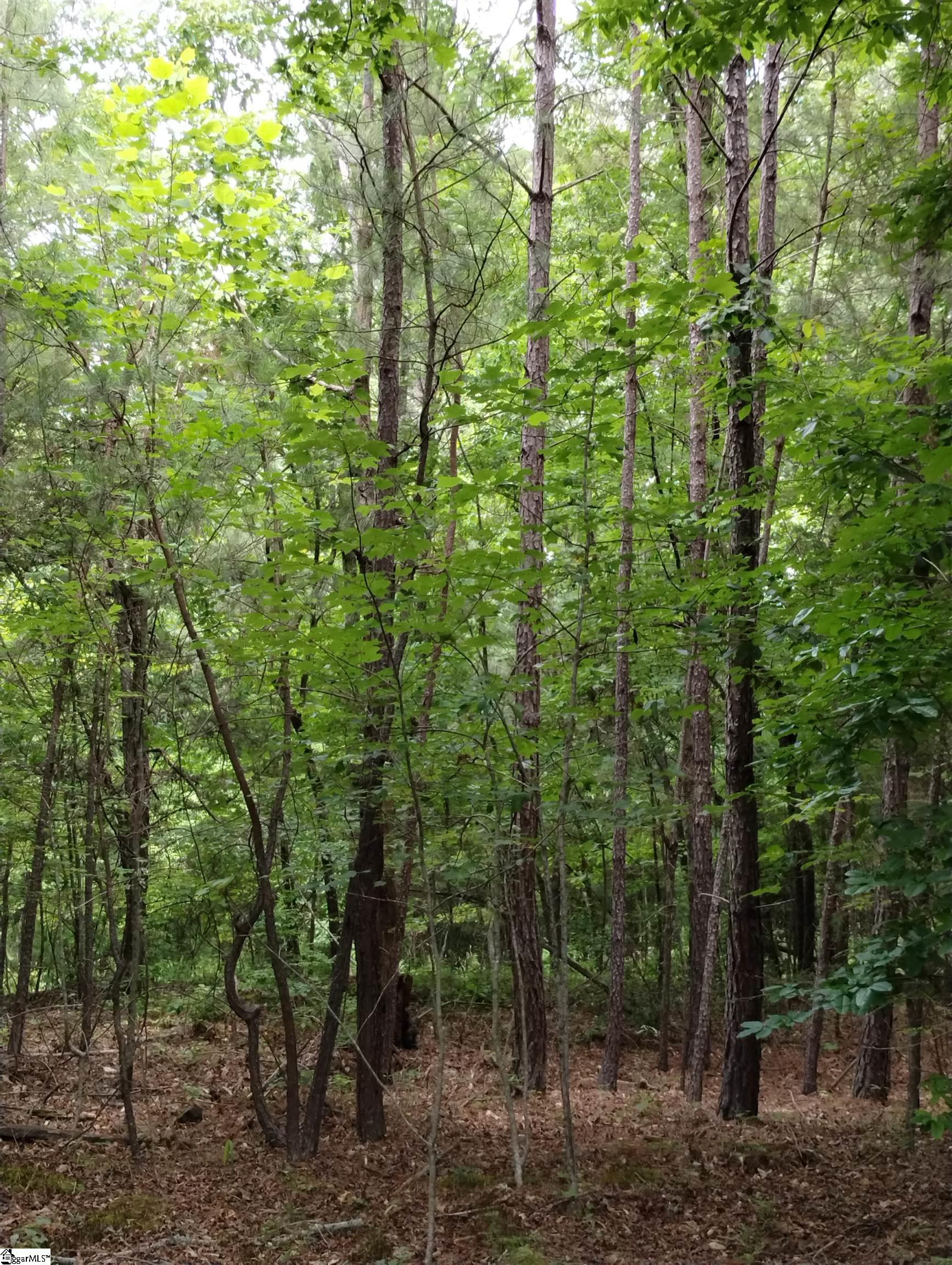 191 Juniper Lane Pickens, SC 29671