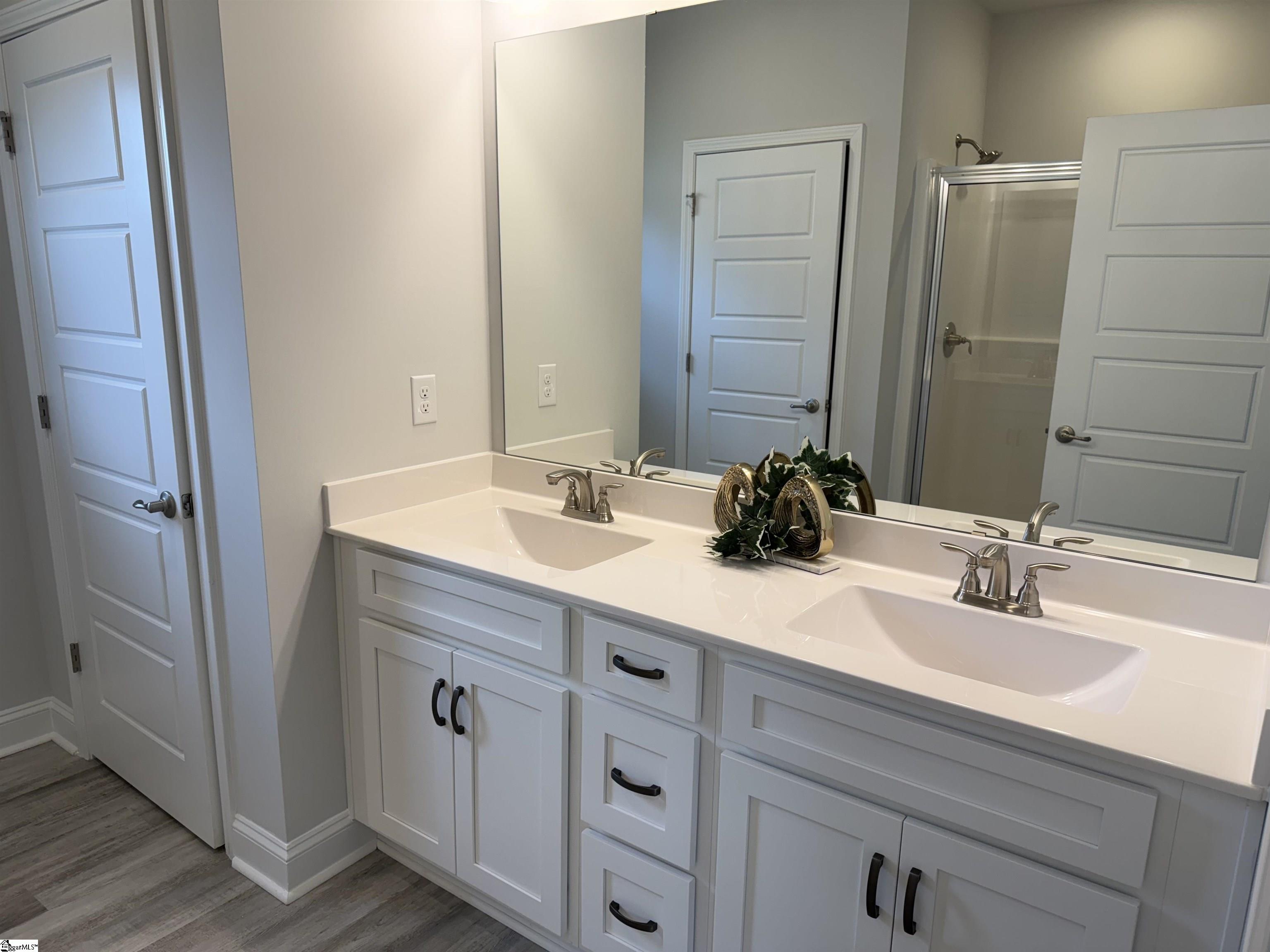 310 Cypress Hollow Trail UNIT Lot 169 Piedmont, SC 29673