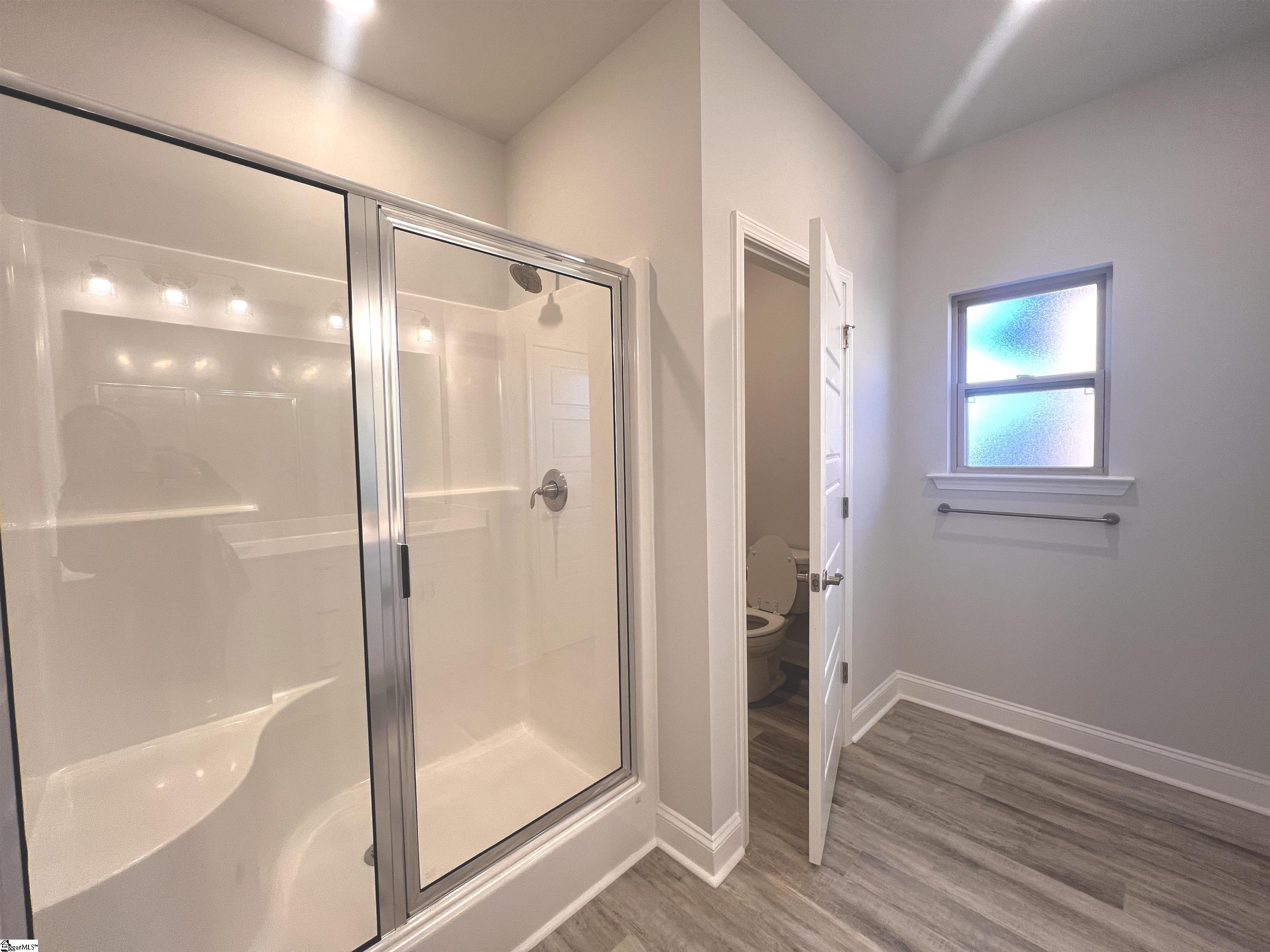 310 Cypress Hollow Trail UNIT Lot 169 Piedmont, SC 29673