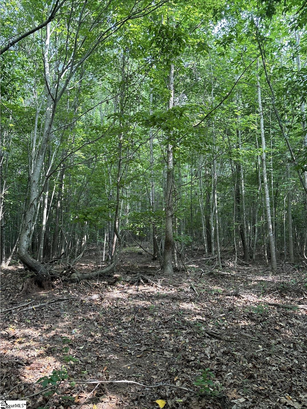 00 Dr Johns Road Westminster, SC 29693