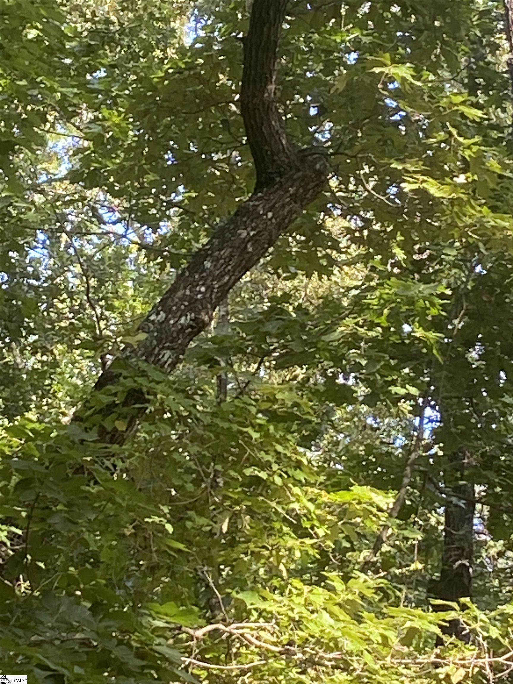 00 Windtree Ridge Road Pickens, SC 29671