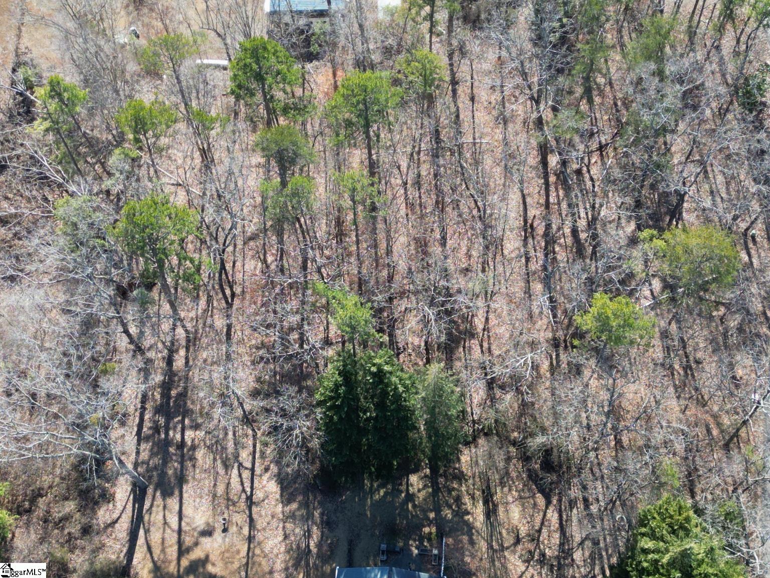 00 Windtree Ridge Road Pickens, SC 29671