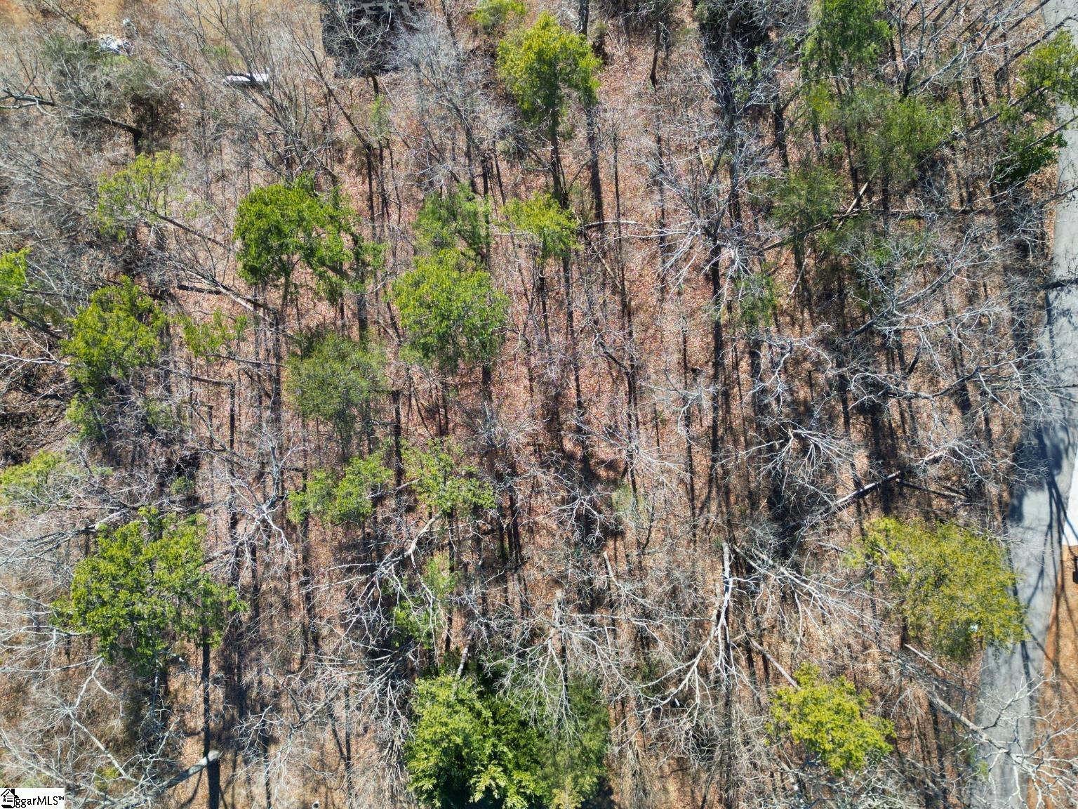 00 Windtree Ridge Road Pickens, SC 29671