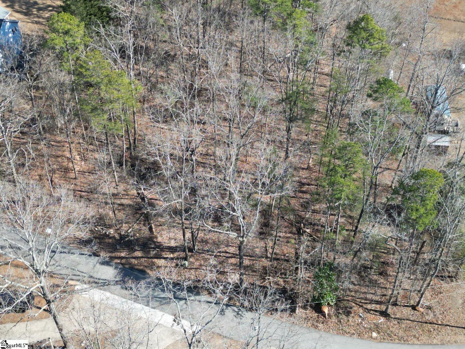 00 Windtree Ridge Road Pickens, SC 29671