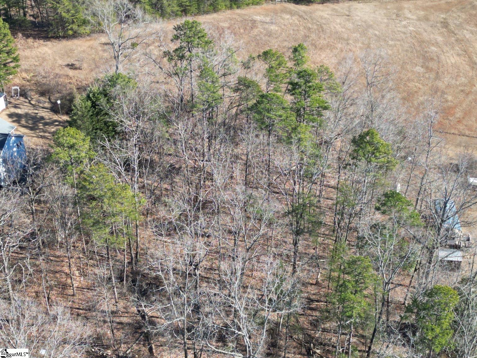00 Windtree Ridge Road Pickens, SC 29671