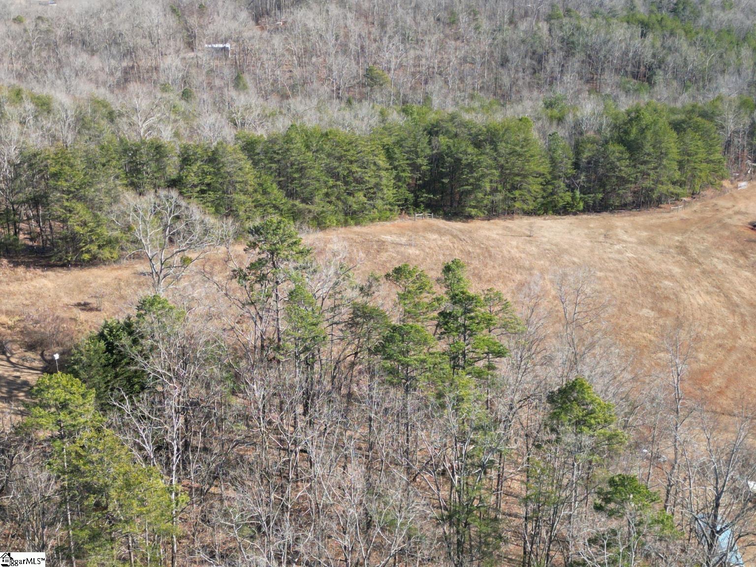 00 Windtree Ridge Road Pickens, SC 29671