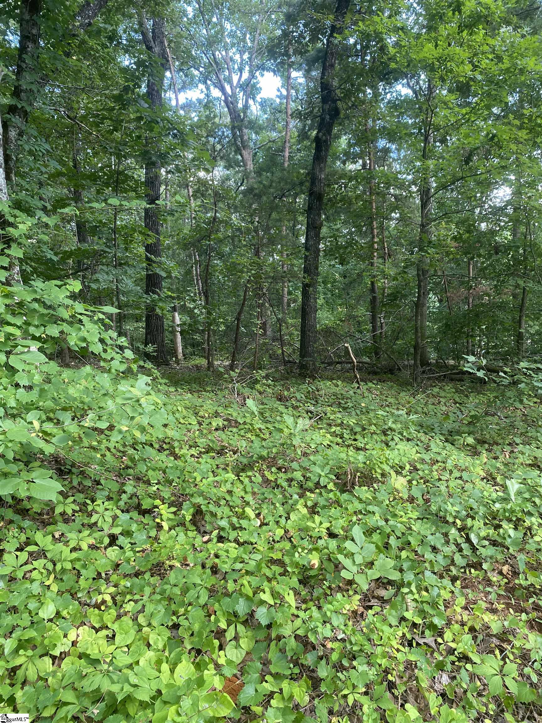 00 Windtree Ridge Road Pickens, SC 29671