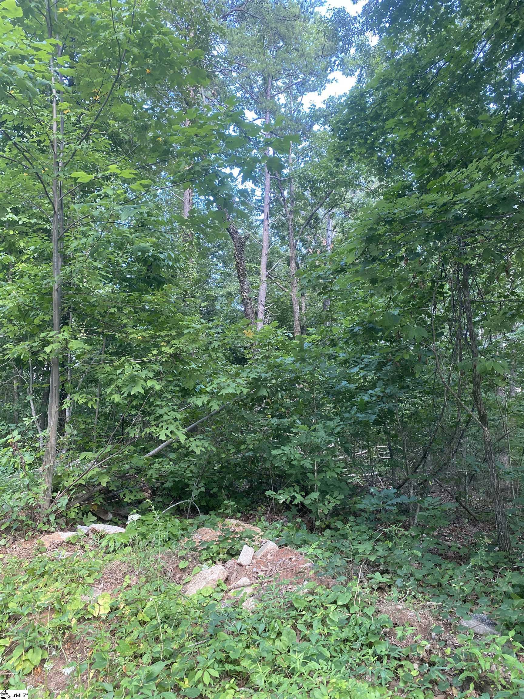 00 Windtree Ridge Road Pickens, SC 29671