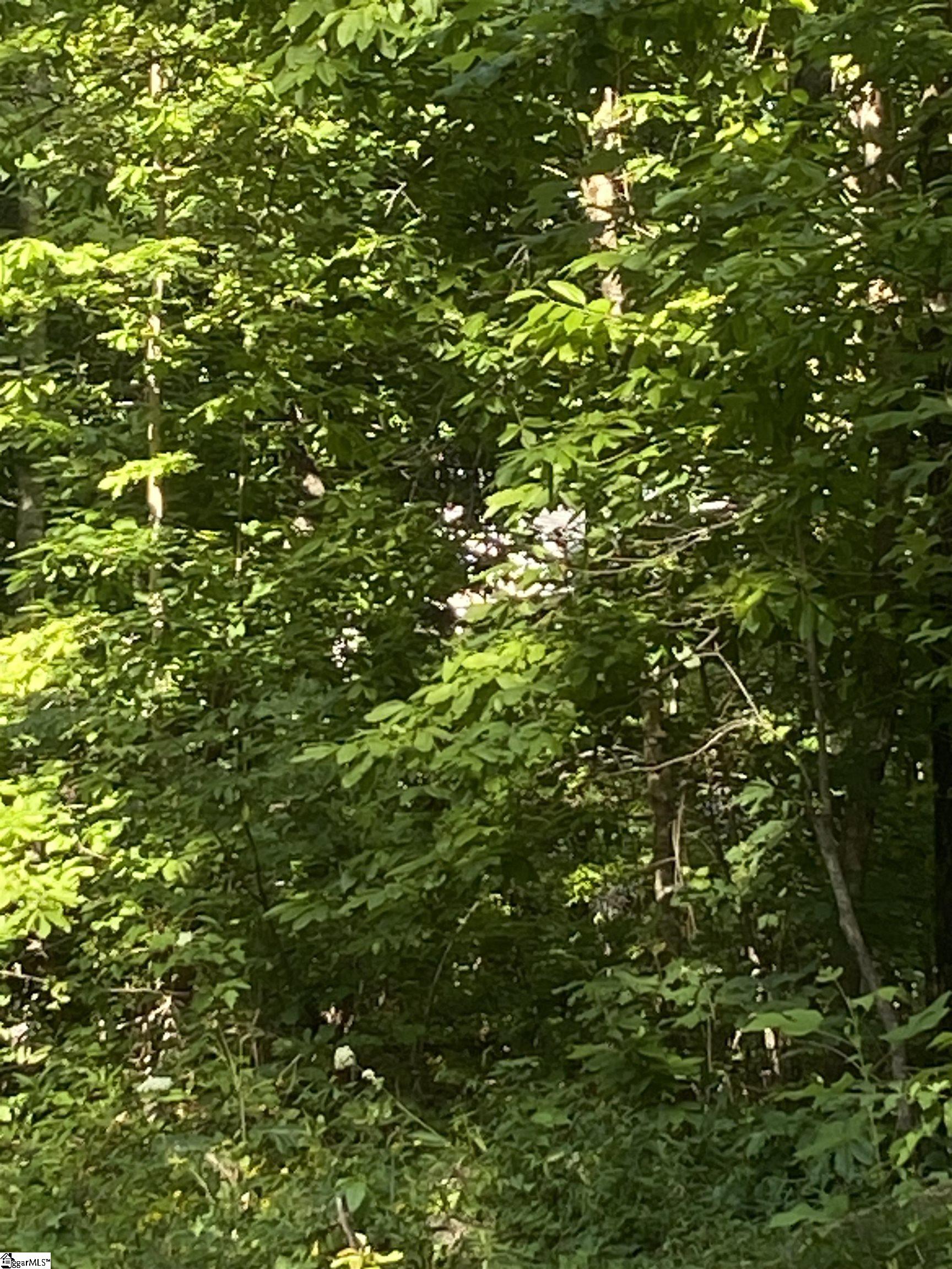 00 Windtree Ridge Road Pickens, SC 29671