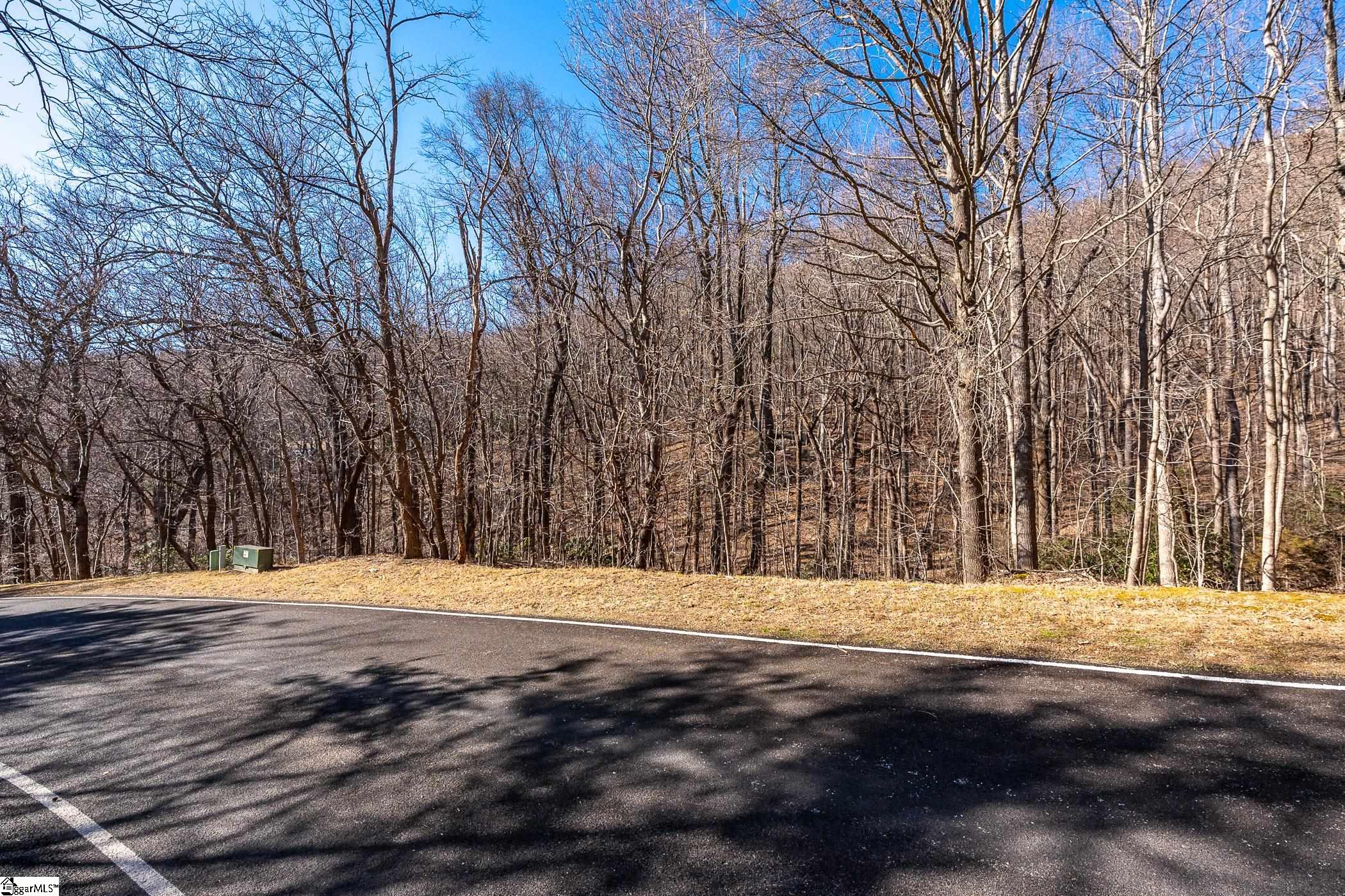 224 Southview Ledge Road Landrum, SC 29356-3329