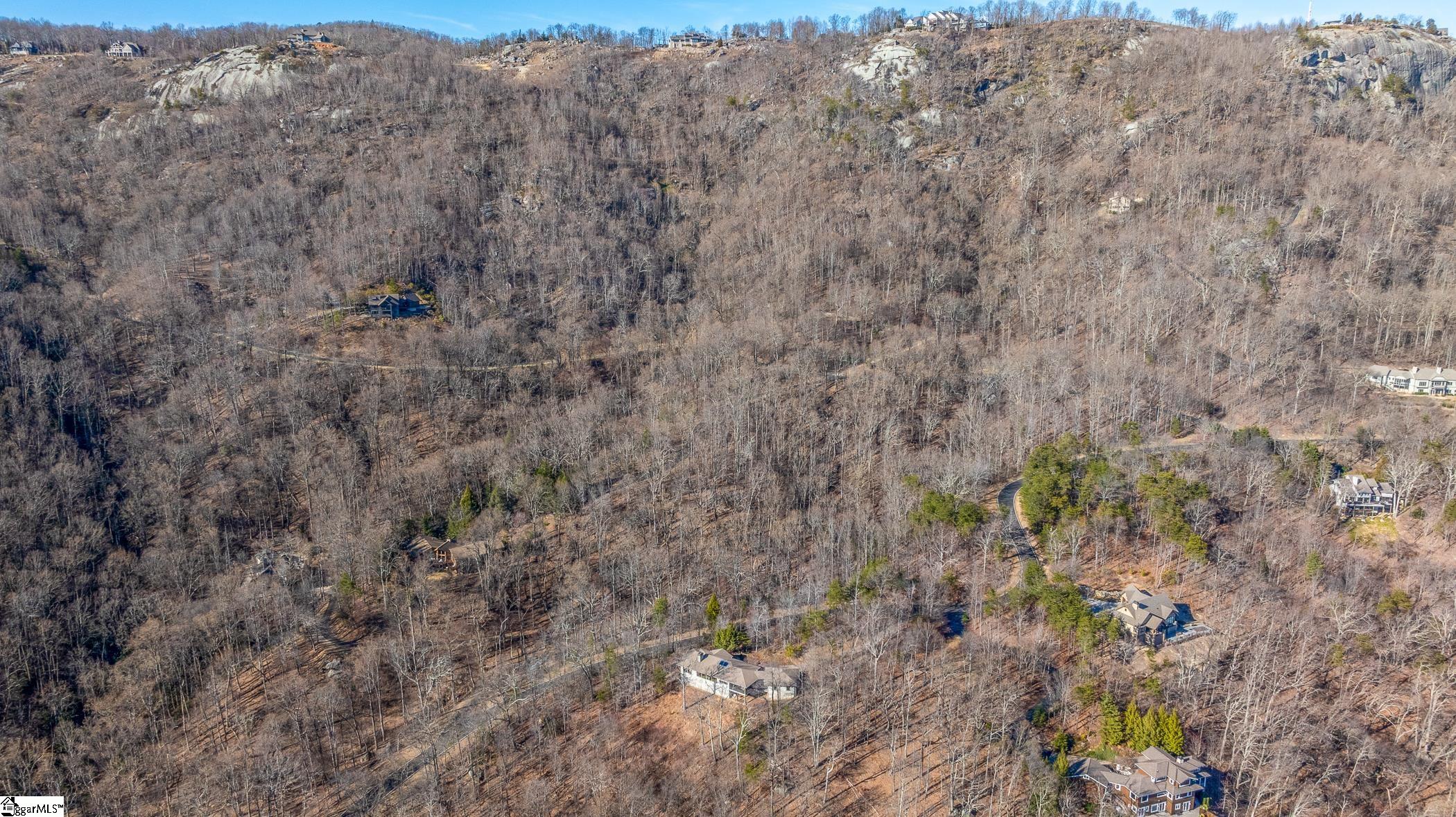 224 Southview Ledge Road Landrum, SC 29356-3329