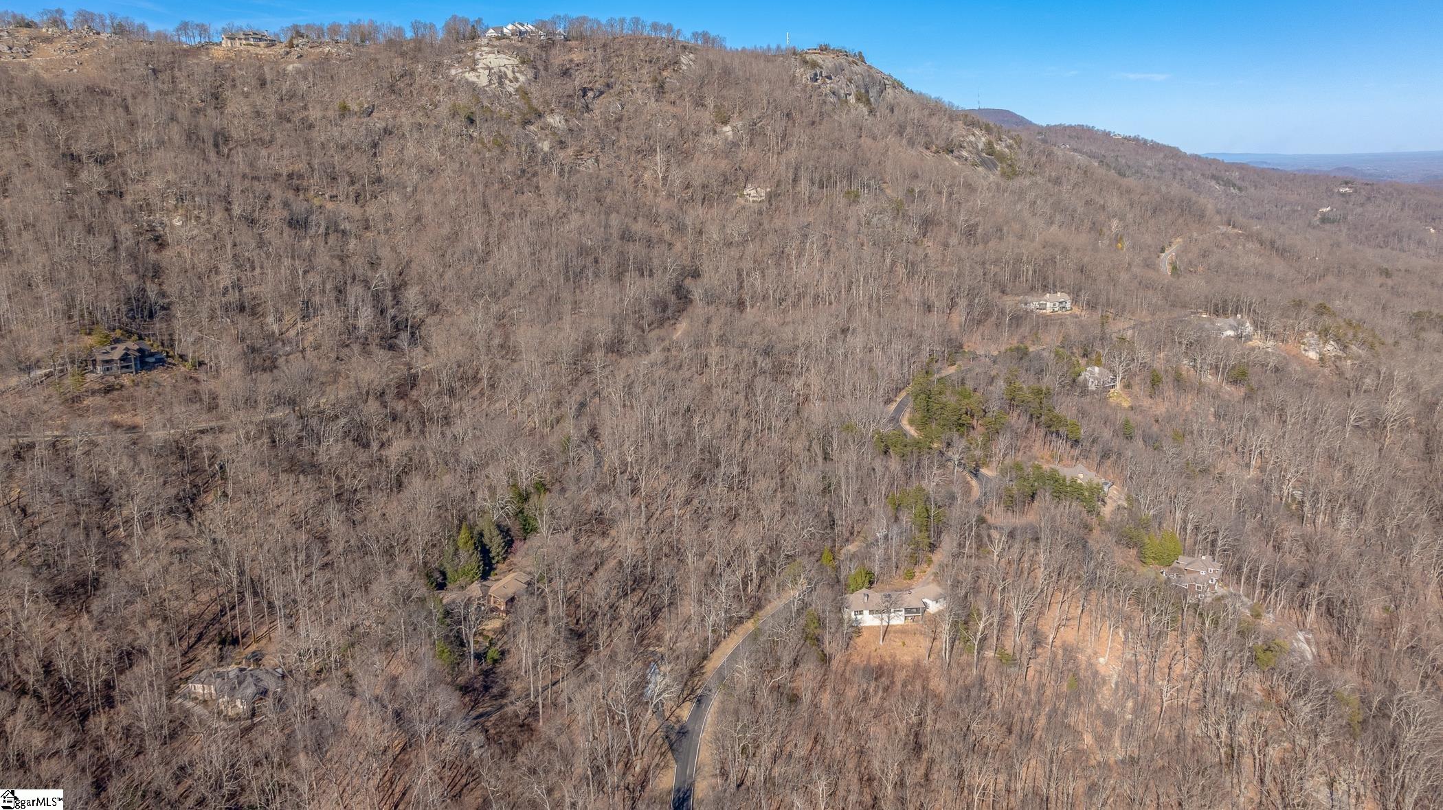 224 Southview Ledge Road Landrum, SC 29356-3329