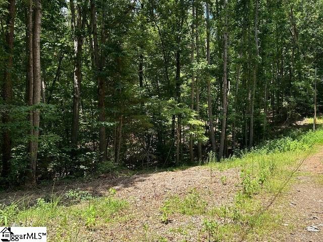 Blue Ridge Court UNIT Lot 81 Westminster, SC 29693