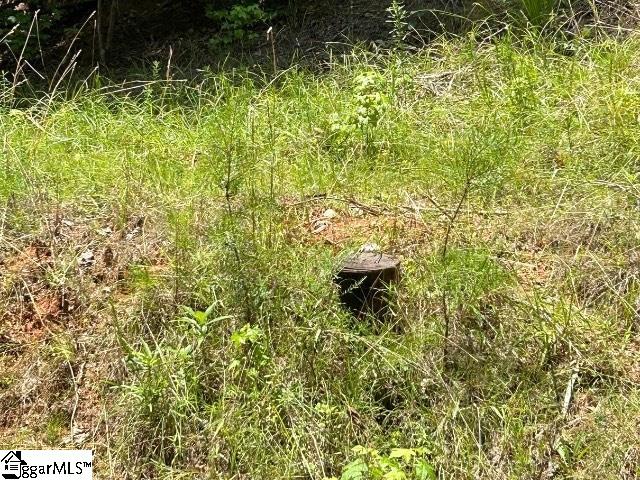 Blue Ridge Court UNIT Lot 81 Westminster, SC 29693