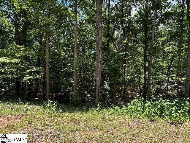 Blue Ridge Court UNIT Lot 81 Westminster, SC 29693