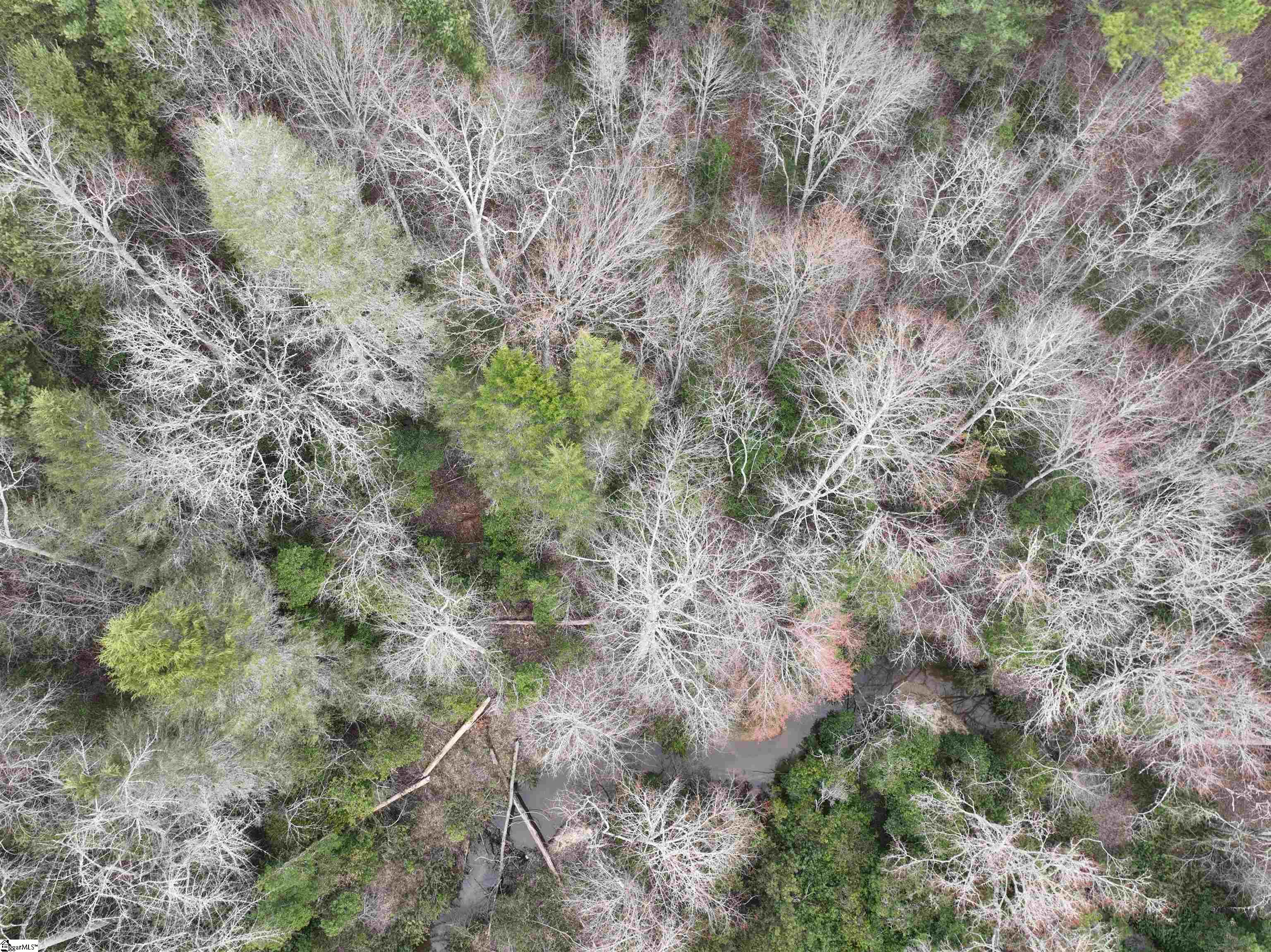 2162 Battlecreek Road Long Creek, SC 29658