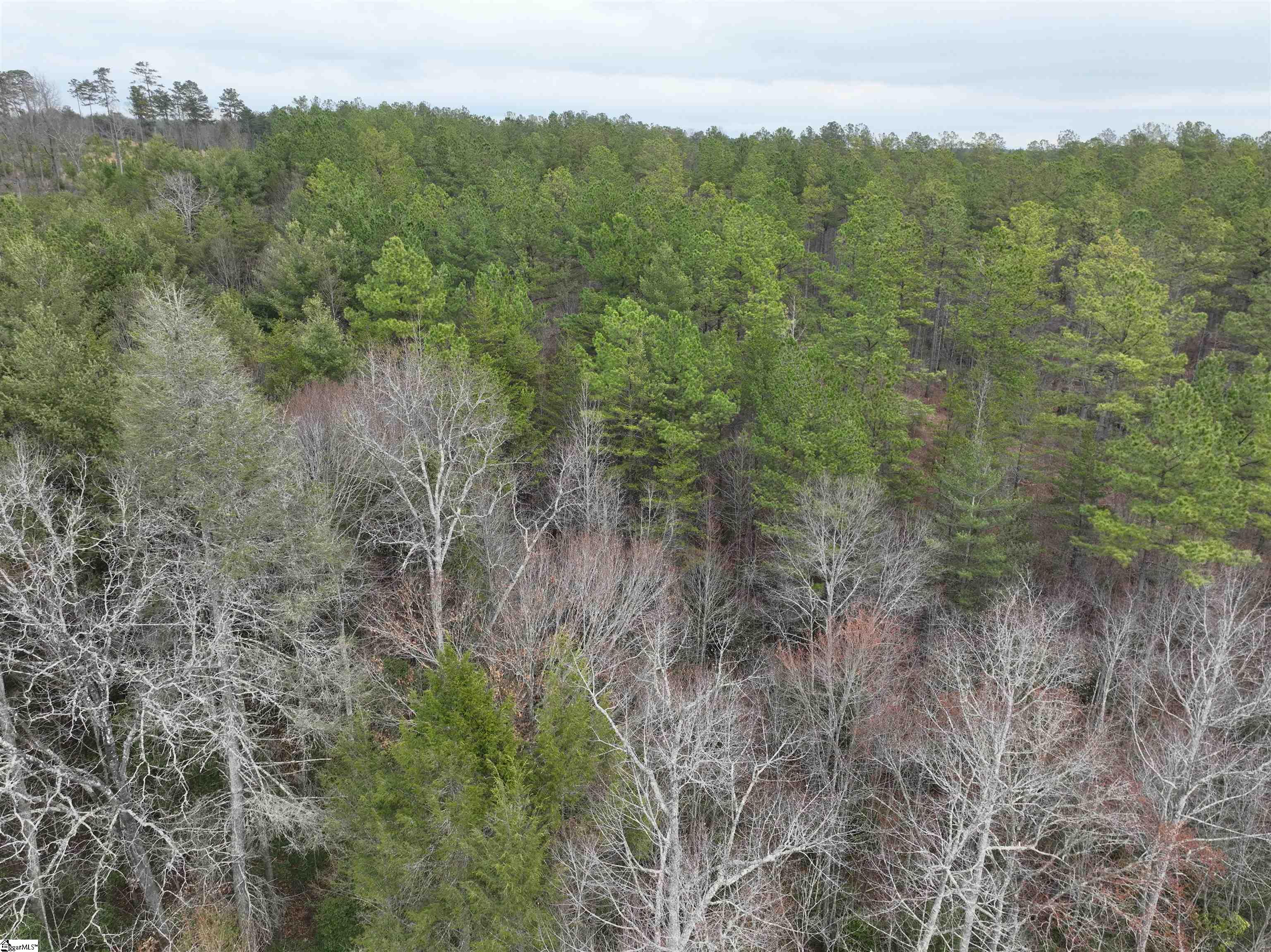 2162 Battlecreek Road Long Creek, SC 29658