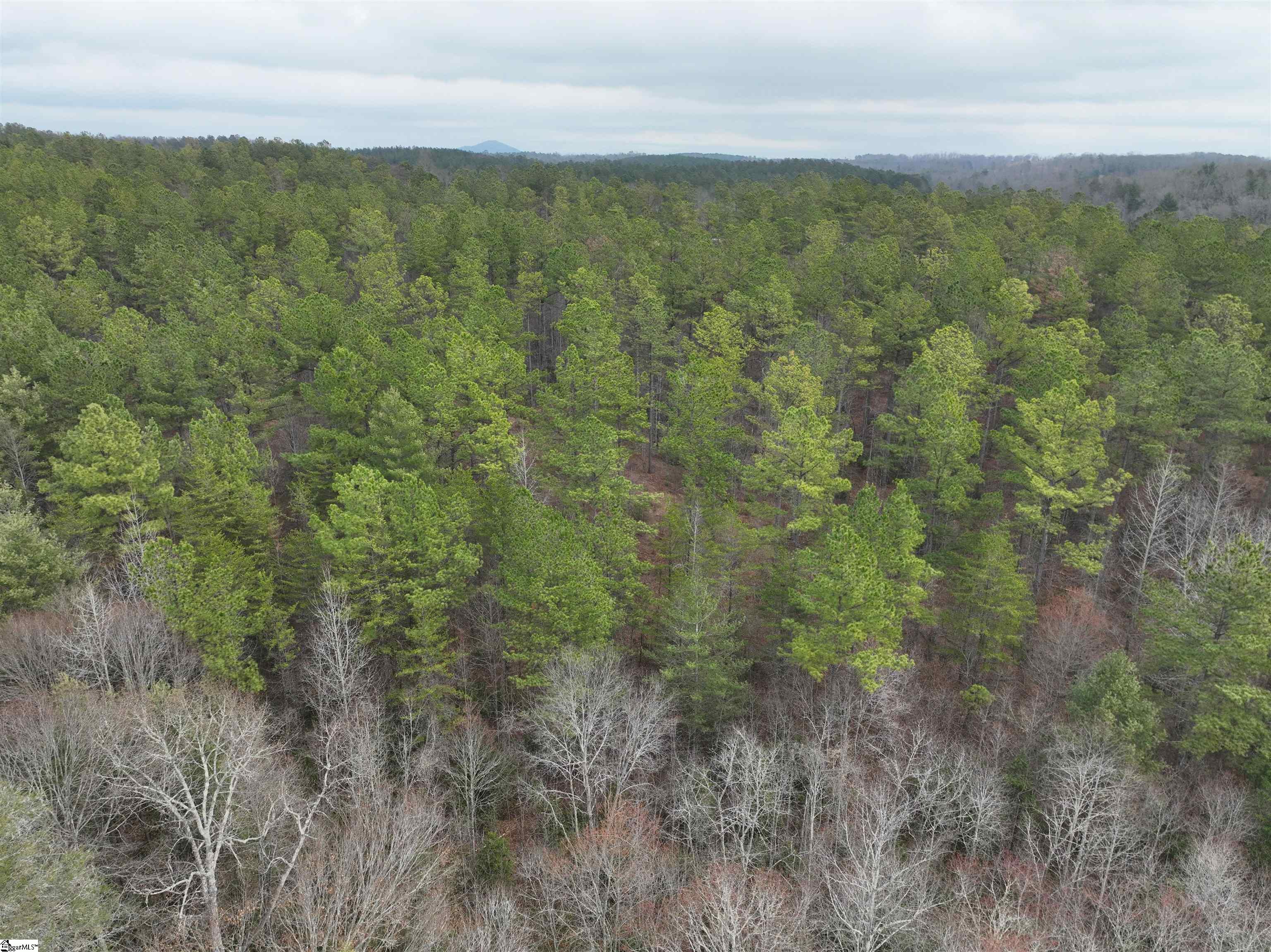 2162 Battlecreek Road Long Creek, SC 29658