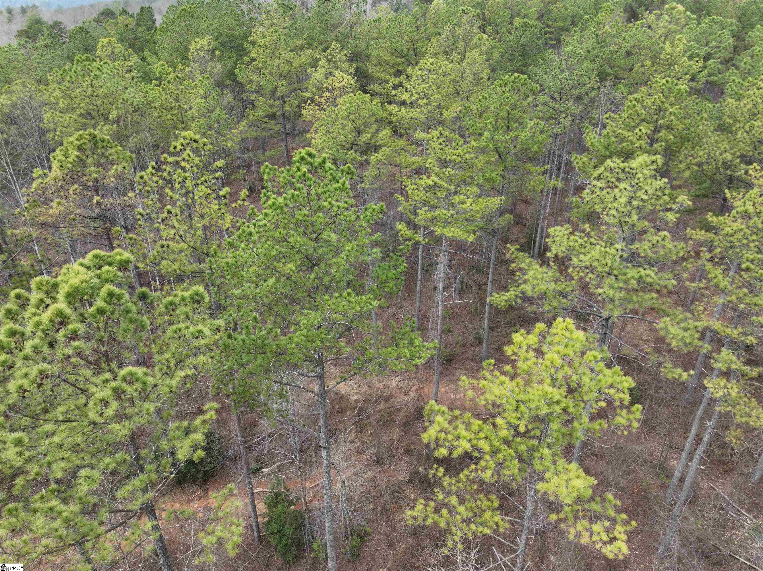 2162 Battlecreek Road Long Creek, SC 29658