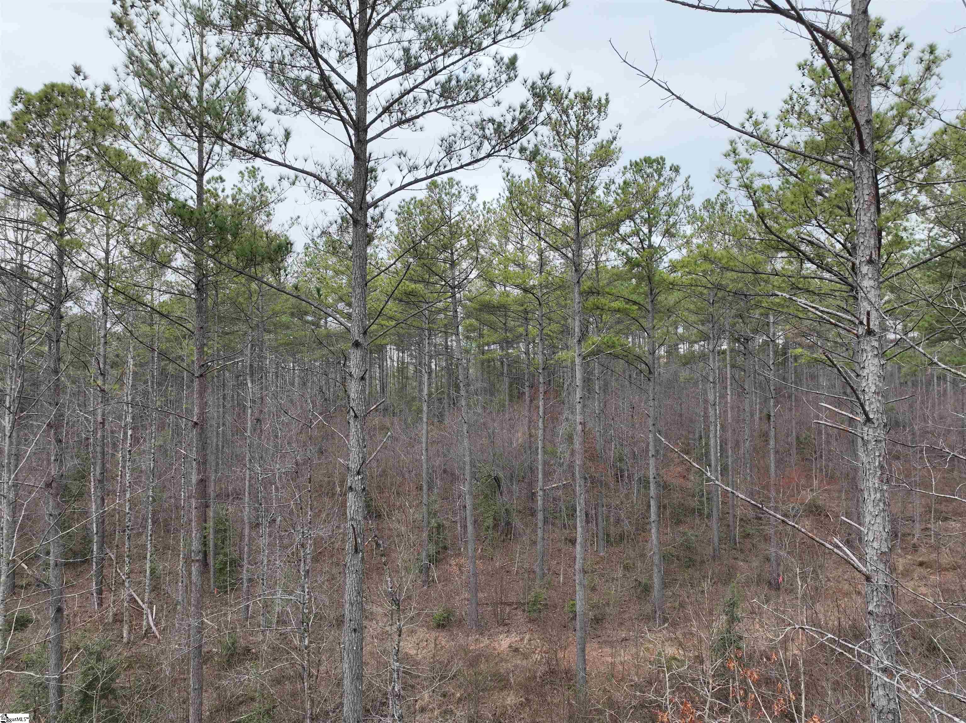 2162 Battlecreek Road Long Creek, SC 29658