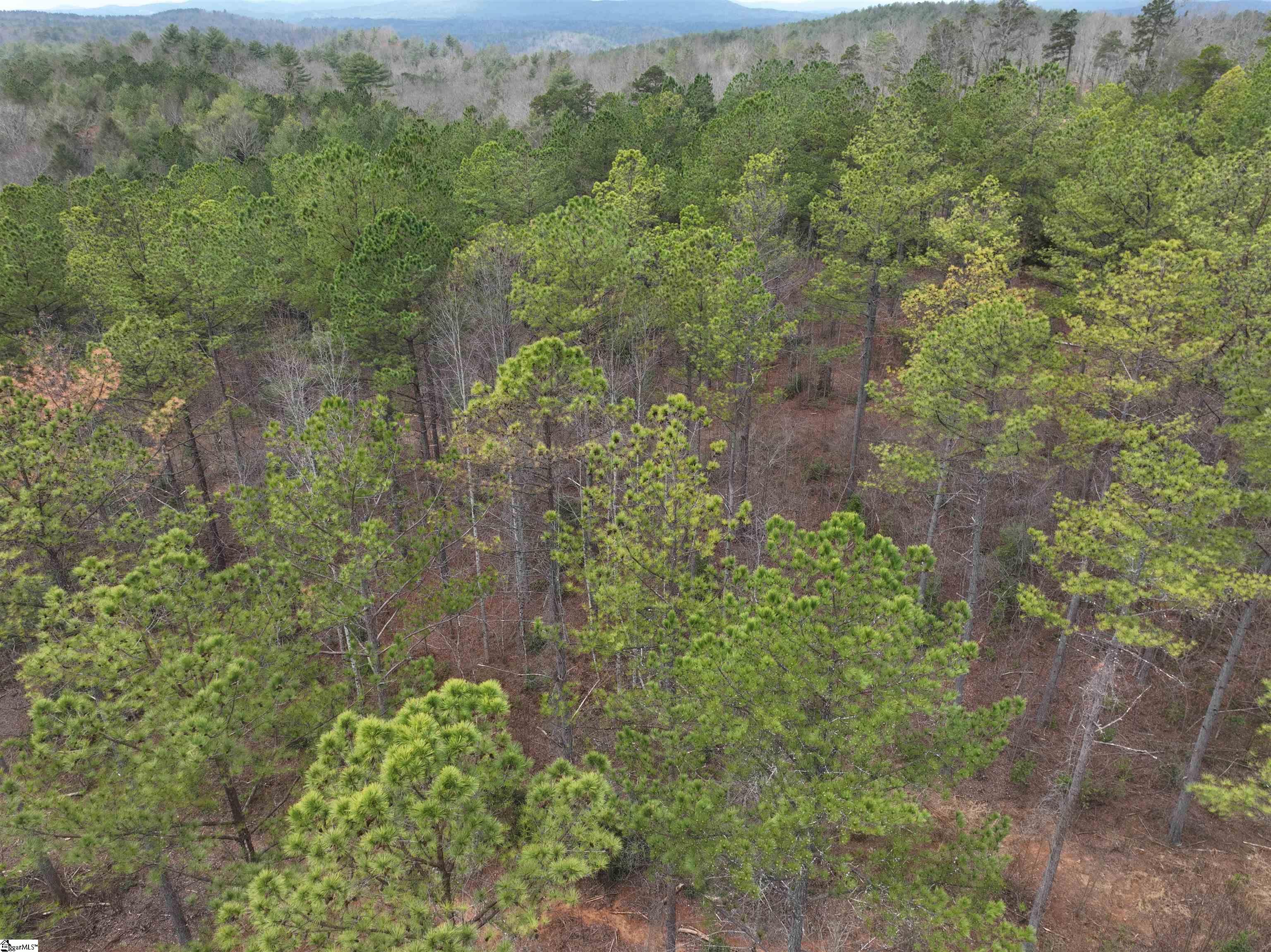 2162 Battlecreek Road Long Creek, SC 29658