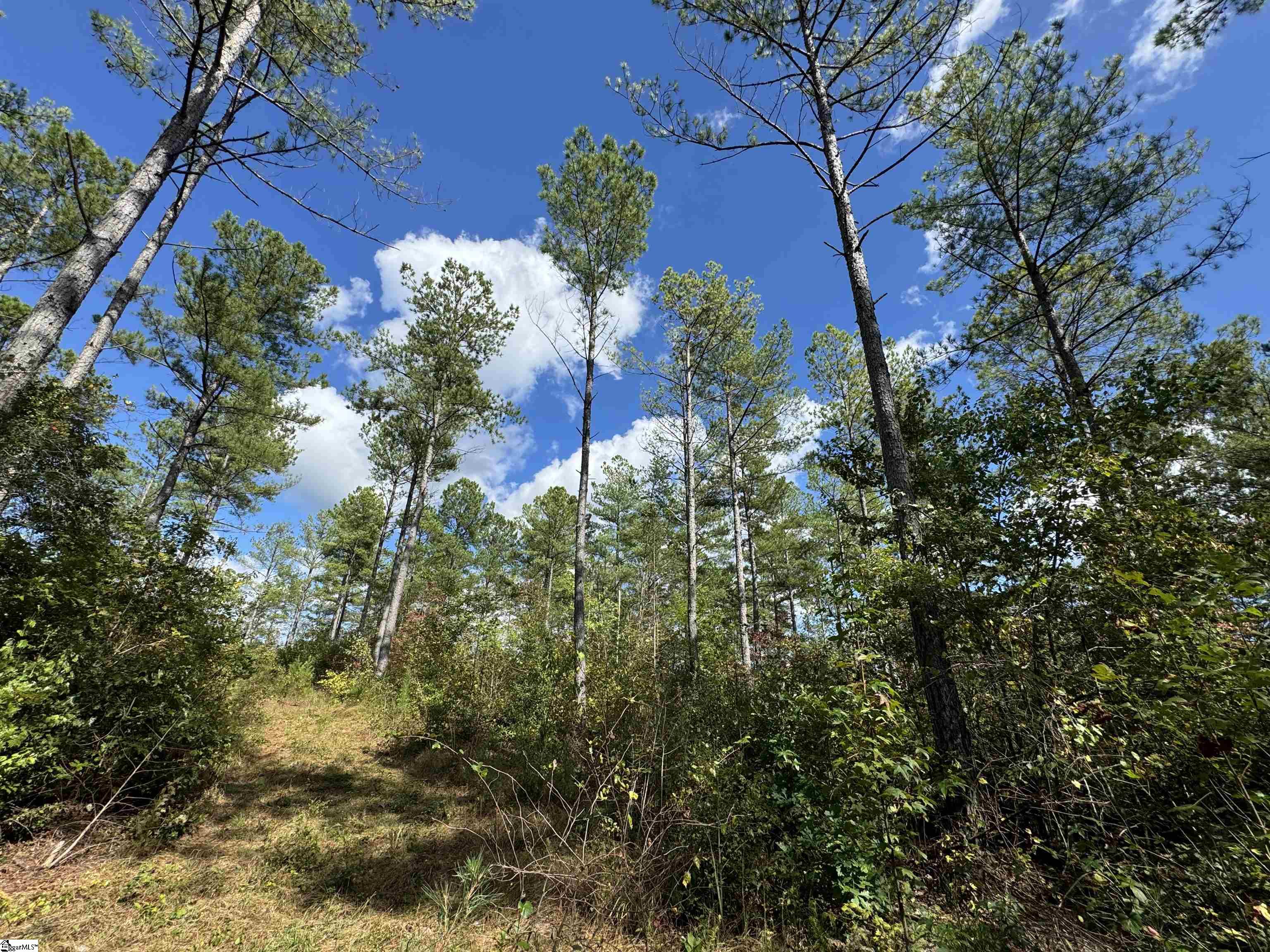 2162 Battlecreek Road Long Creek, SC 29658