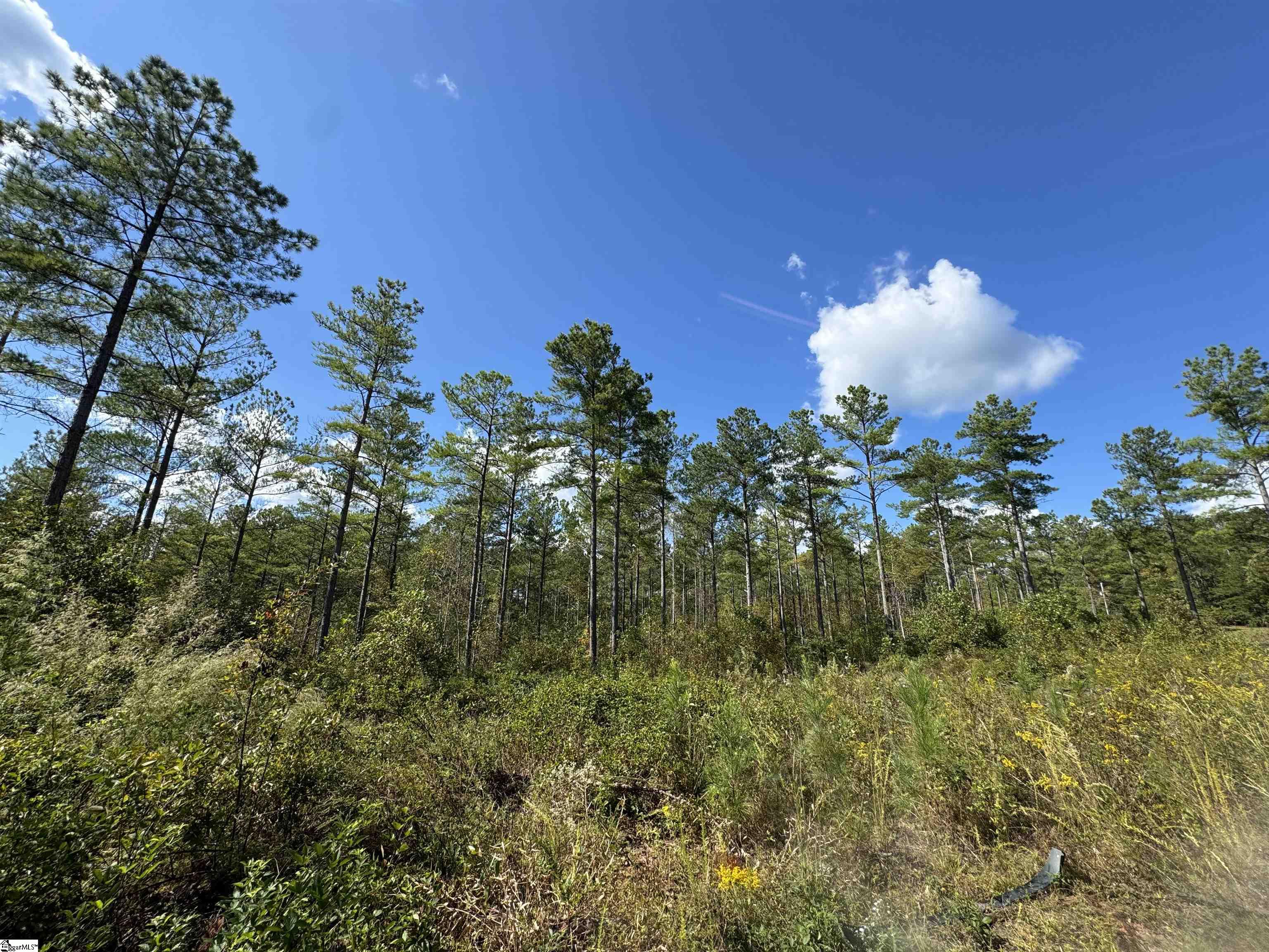 2162 Battlecreek Road Long Creek, SC 29658