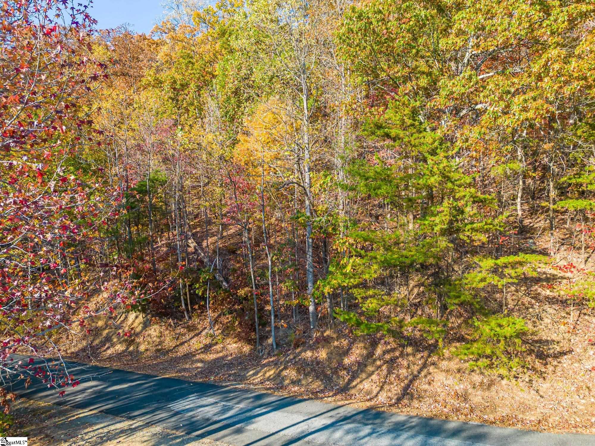19 Hemlock Trail Columbus, NC 28722