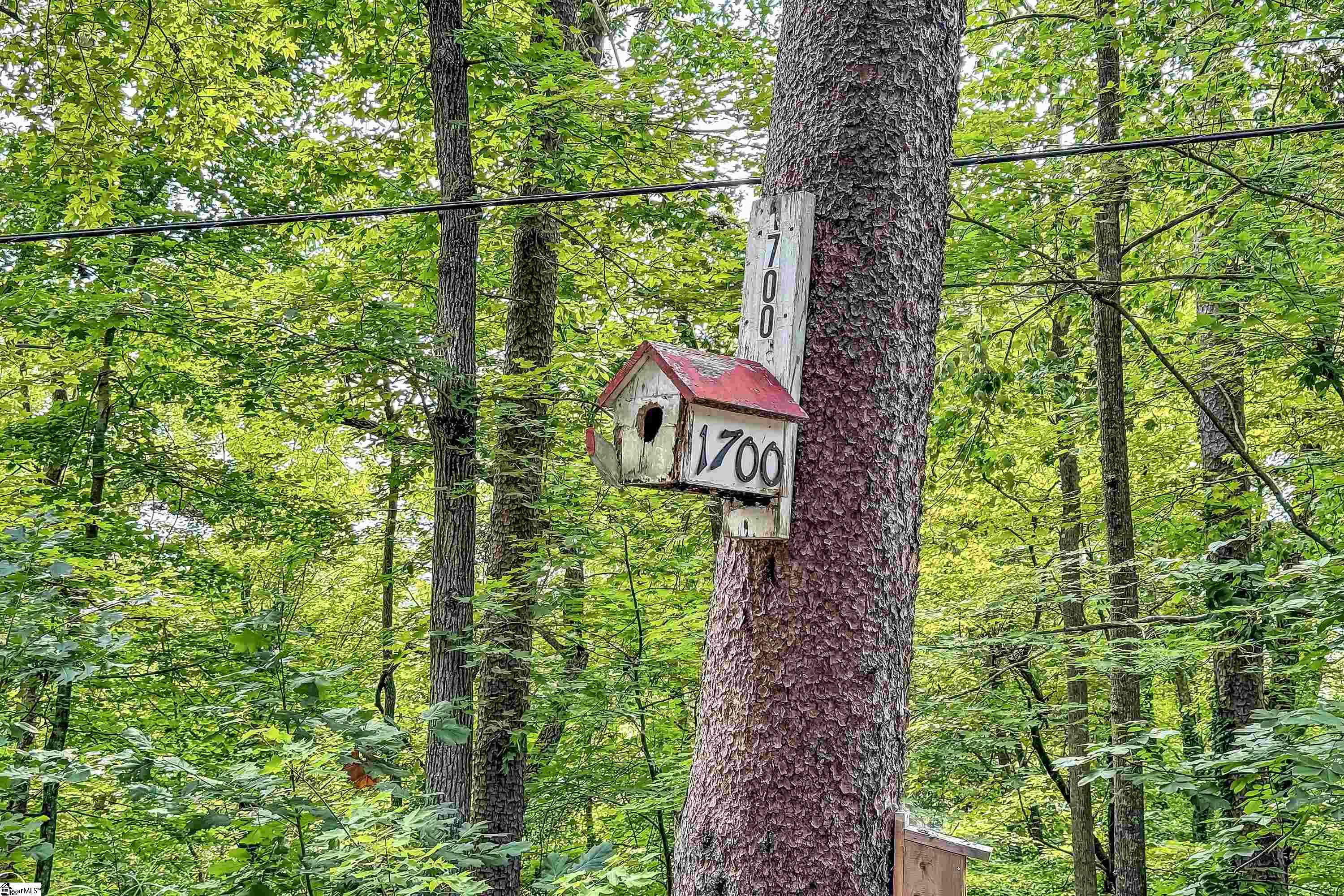 1700 W Lakeshore Drive Landrum, SC 29356