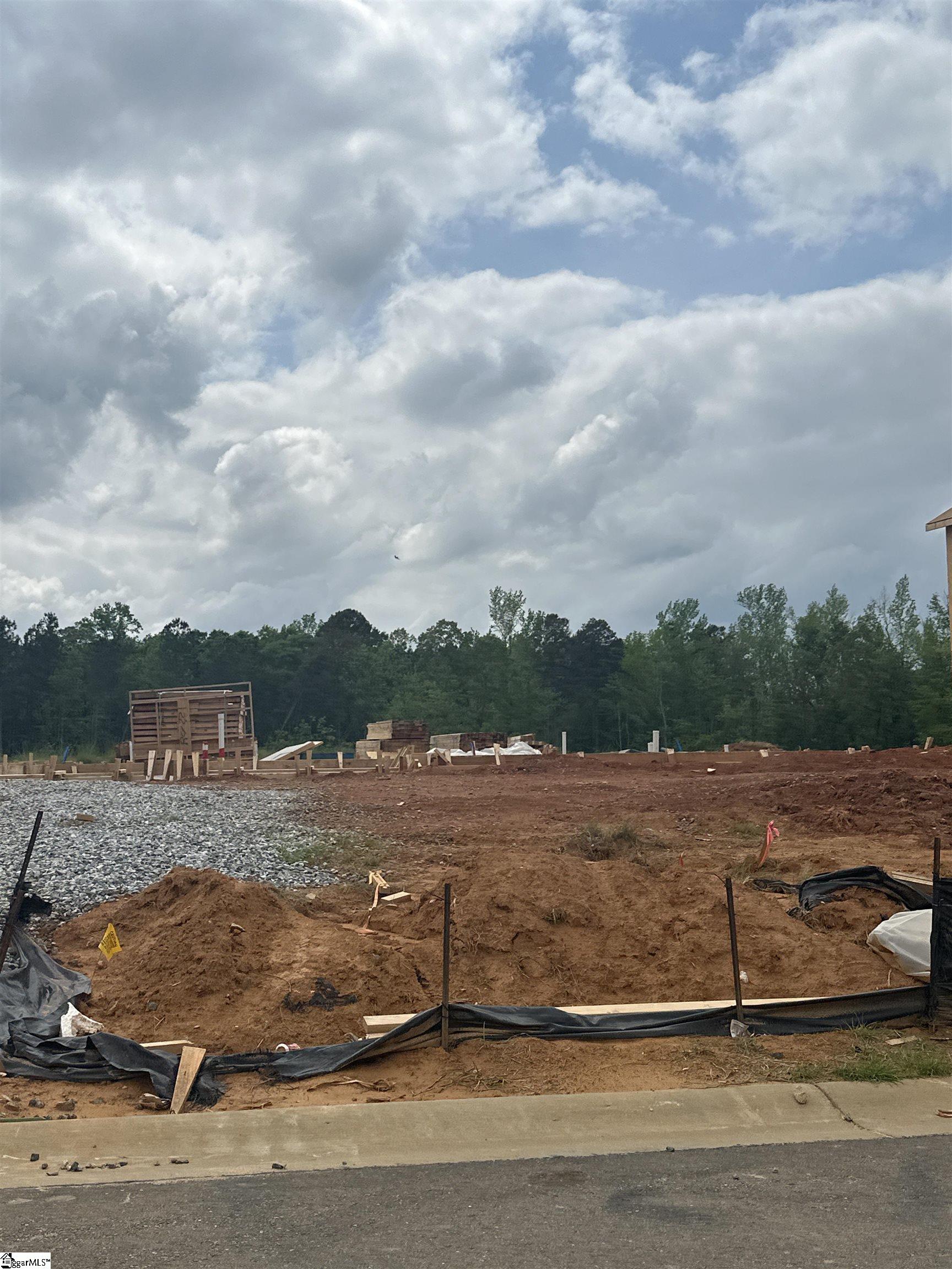 3164 Emberly Drive UNIT Lot 221 Roebuck, SC 29376