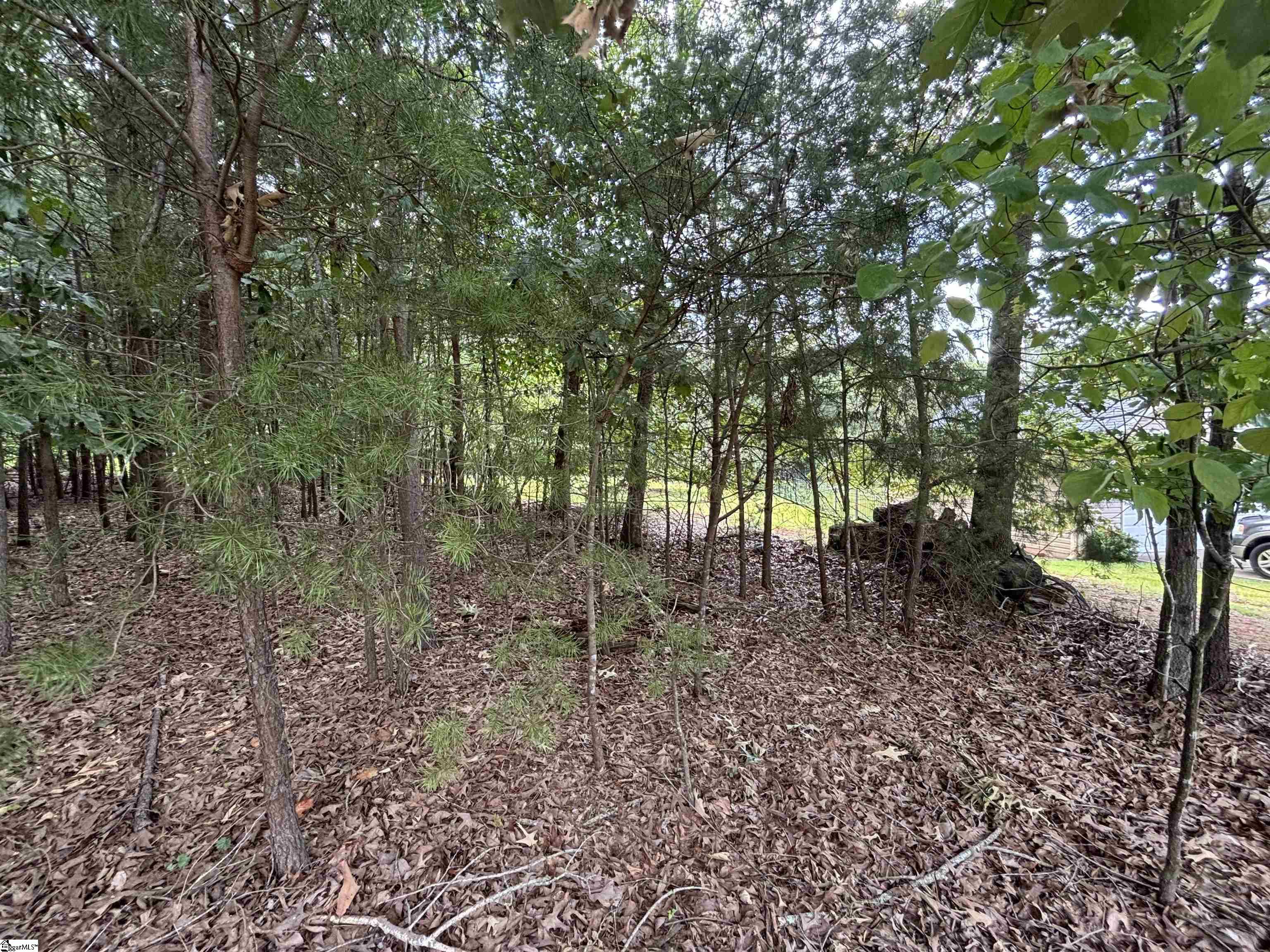 813 Chickasaw Point Westminster, SC 29693