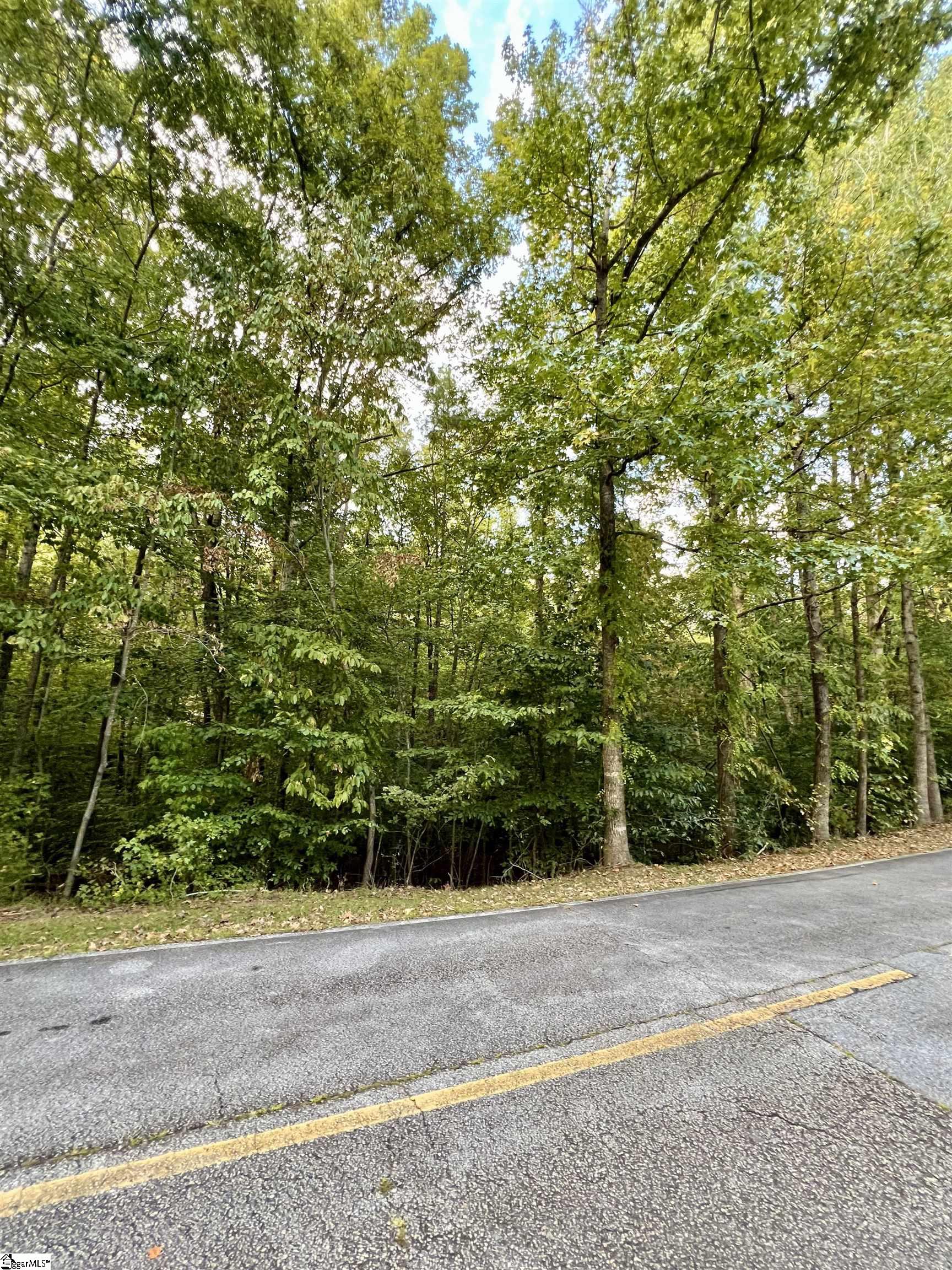 Pineneedle Drive Westminster, SC 29693