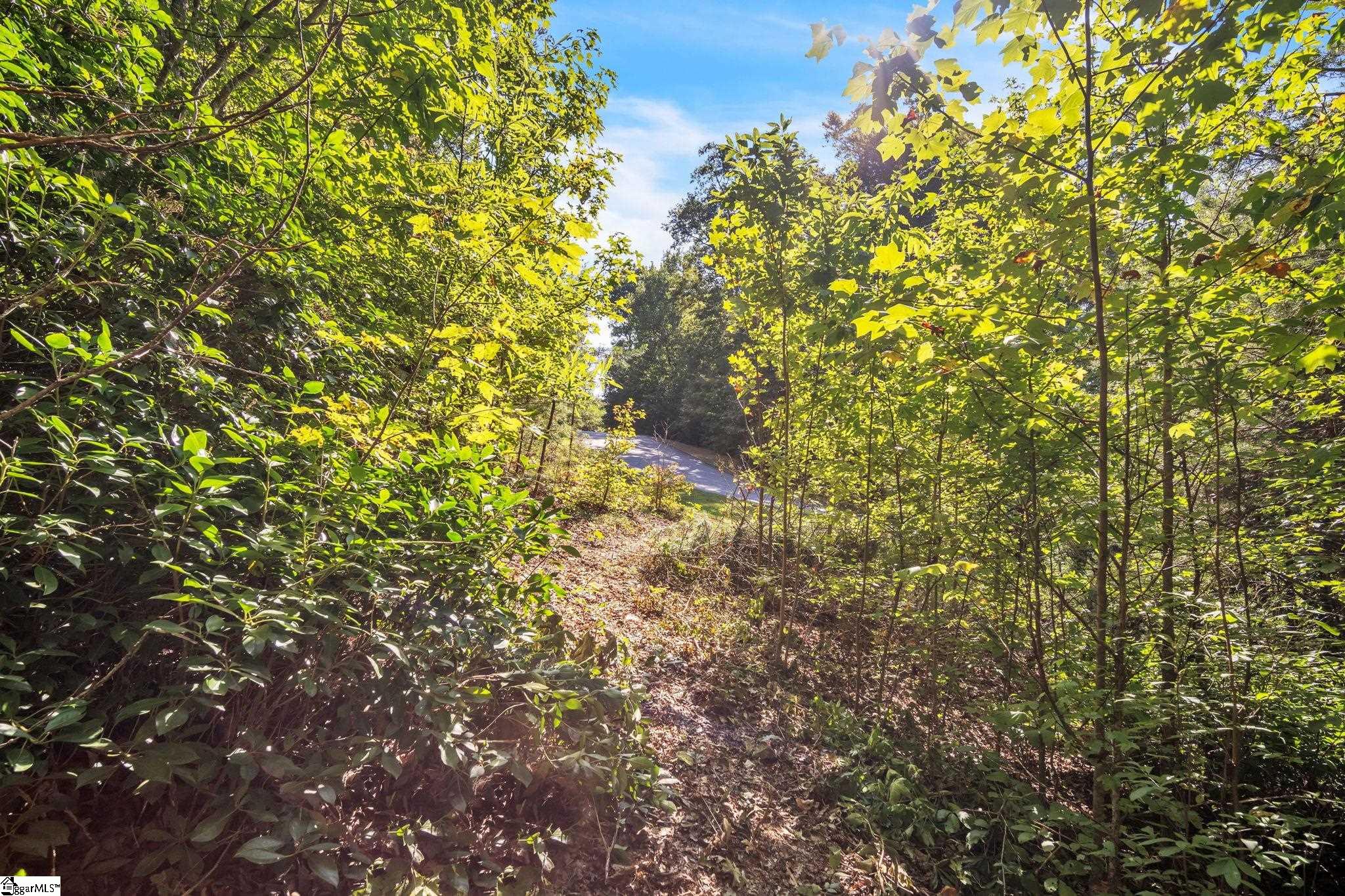 00 Highway 11 Travelers Rest, SC 29690