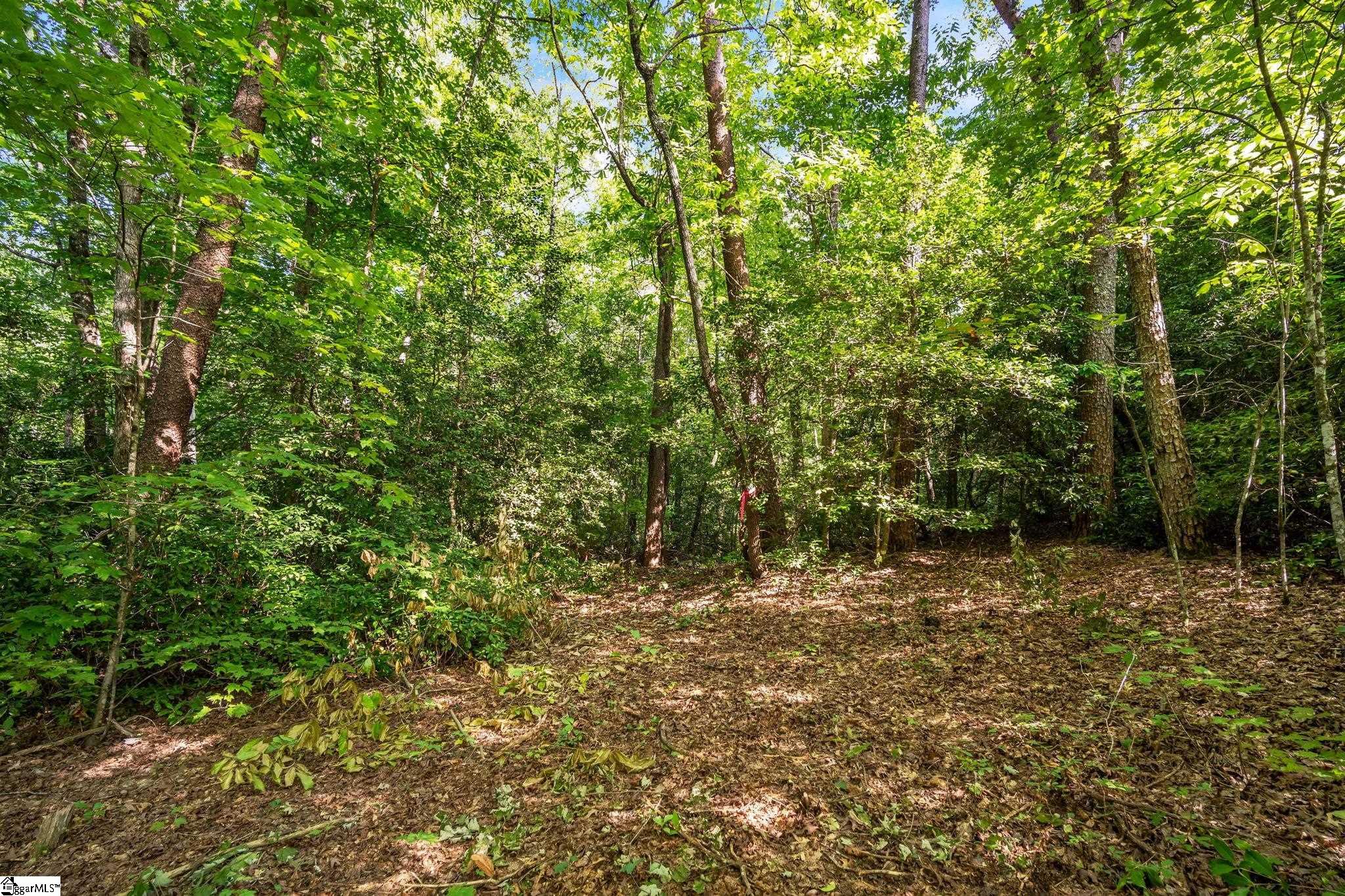 00 Highway 11 Travelers Rest, SC 29690