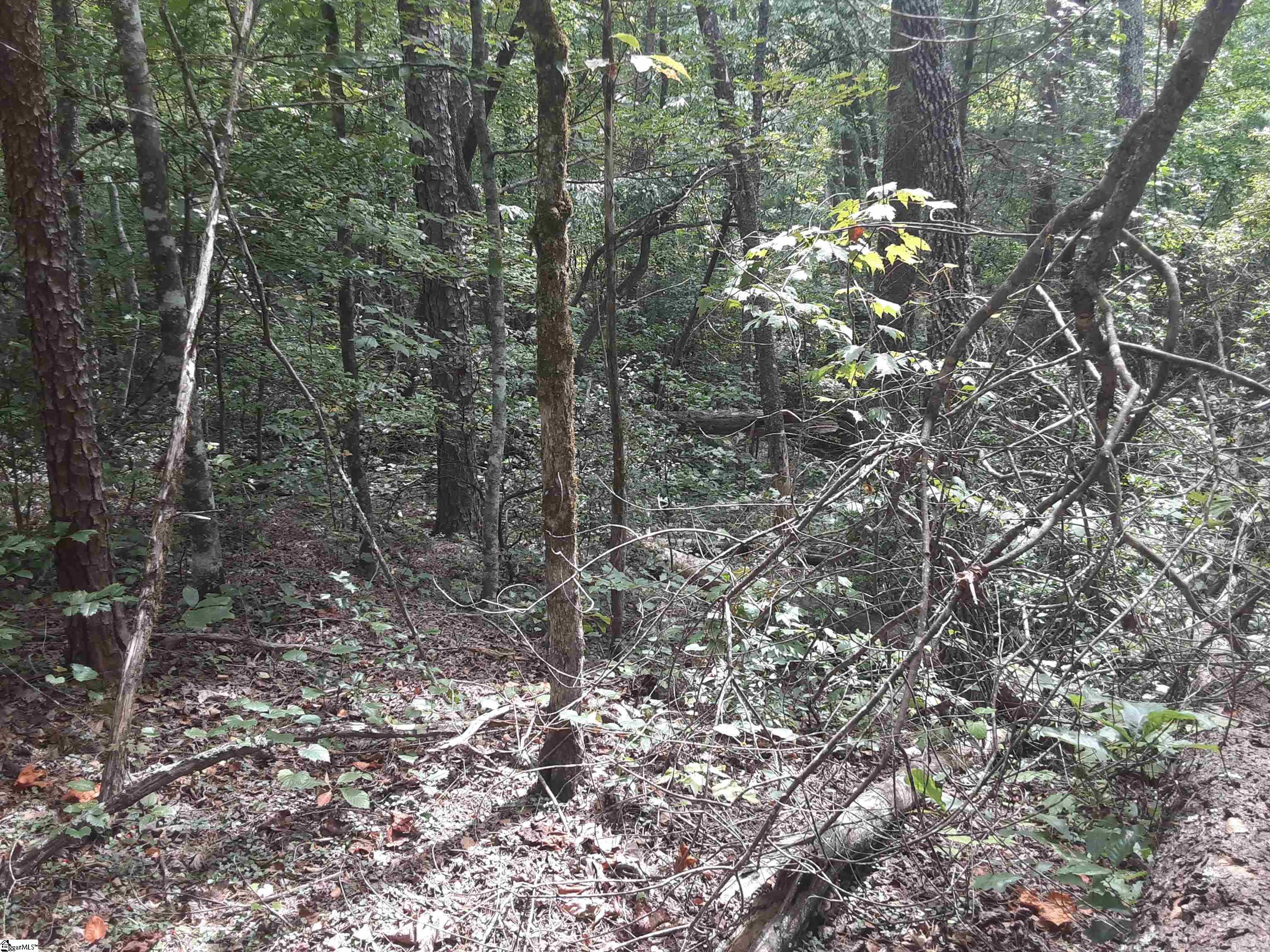 00 White Crest Way Pickens, SC 29671