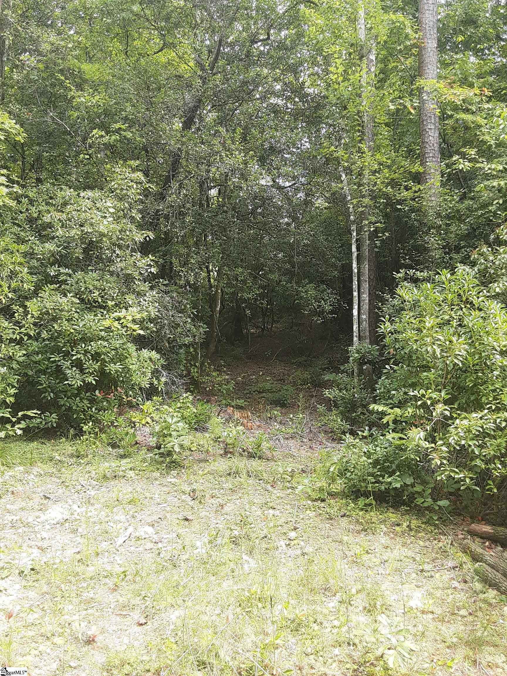 00 White Crest Way Pickens, SC 29671