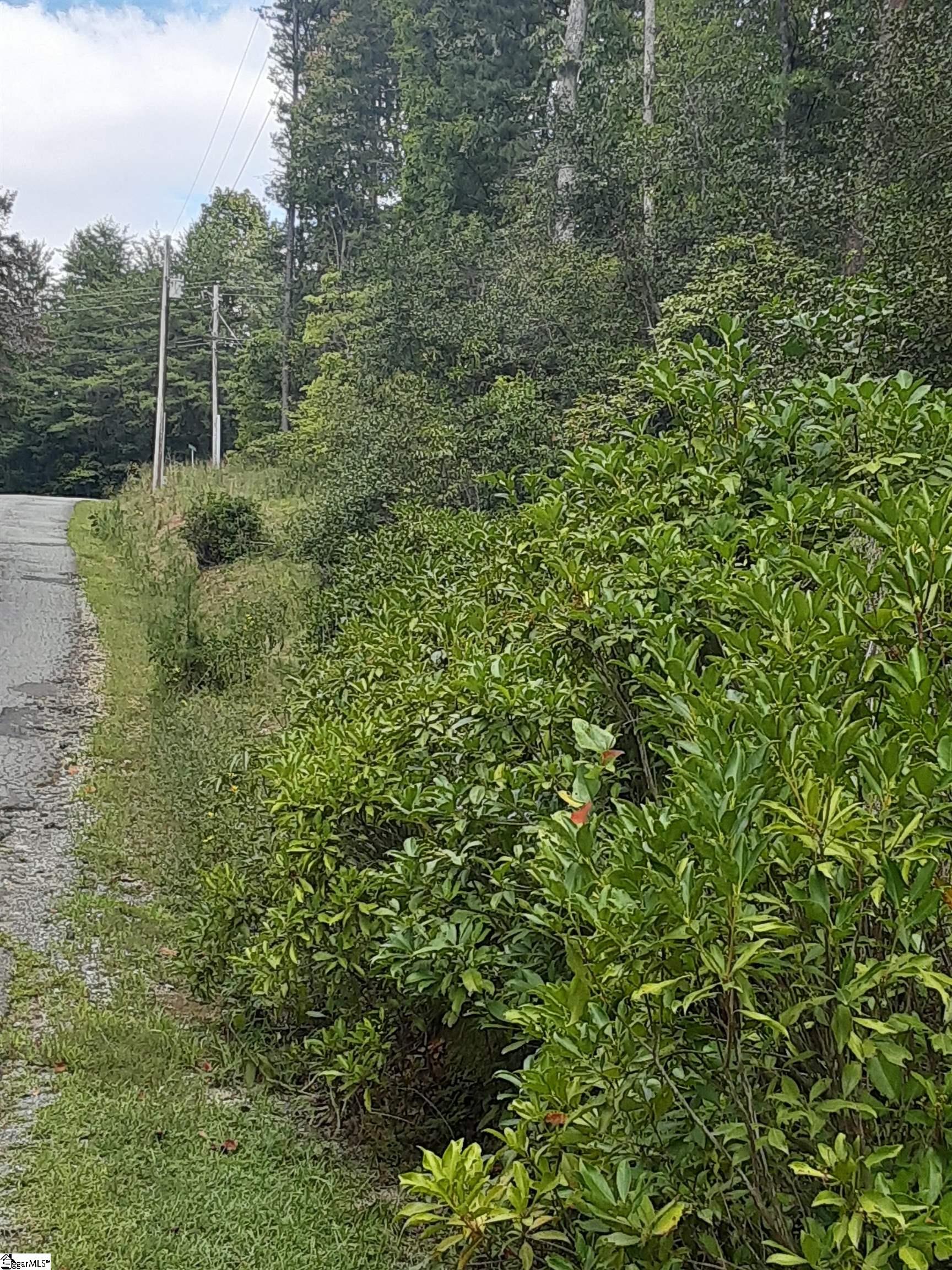 00 White Crest Way Pickens, SC 29671