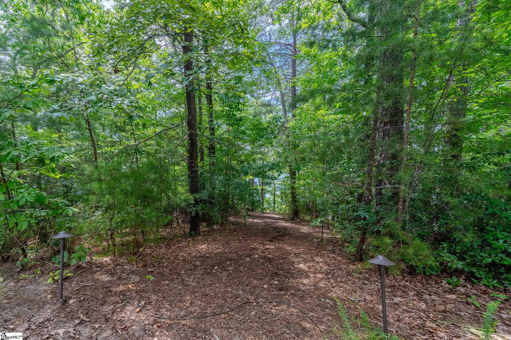 121 Mountain Mint Way Sunset, SC 29685