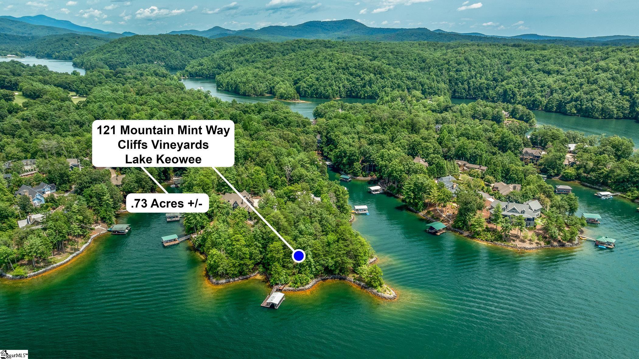 121 Mountain Mint Way Sunset, SC 29685