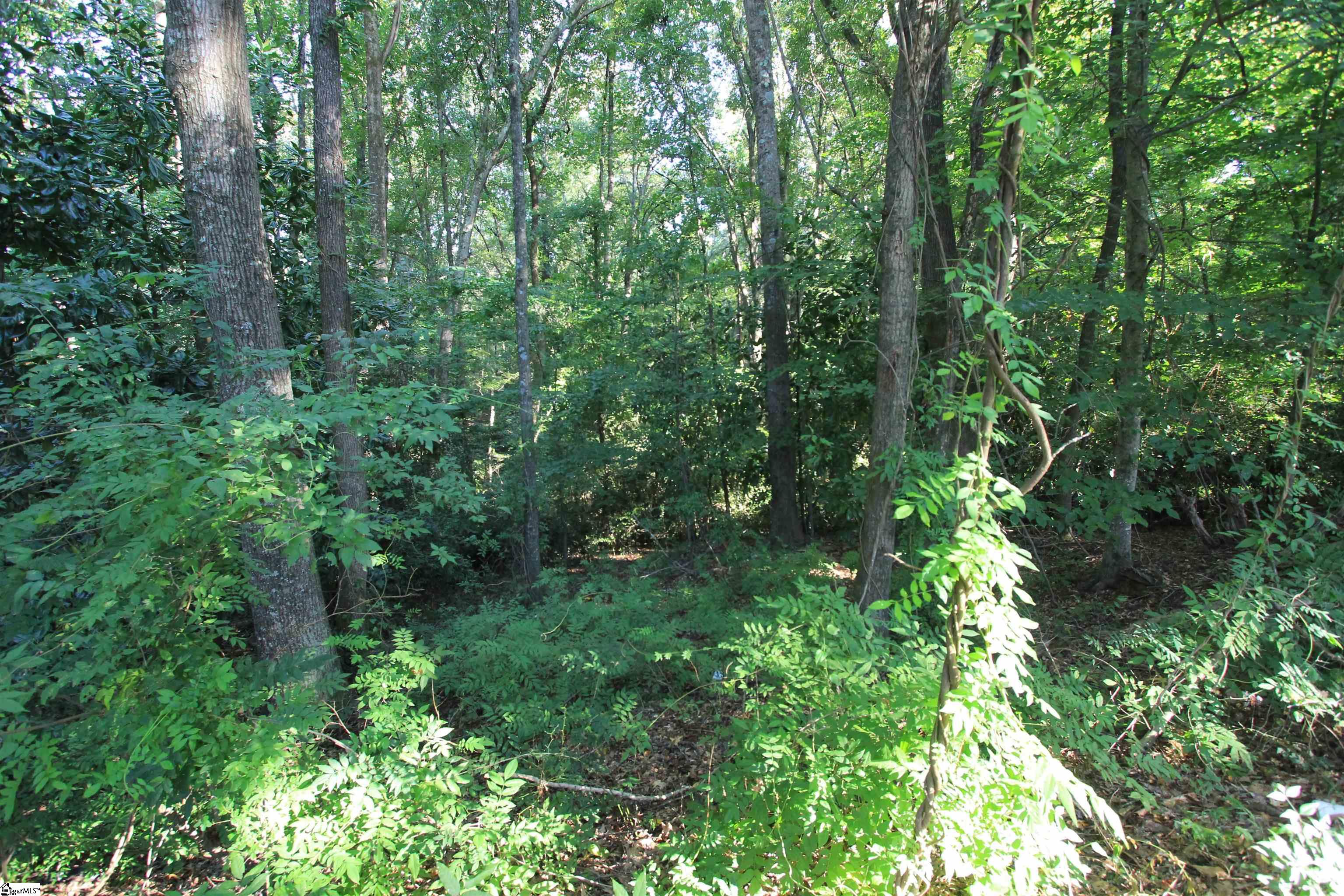 E Hayne Street Woodruff, SC 29388
