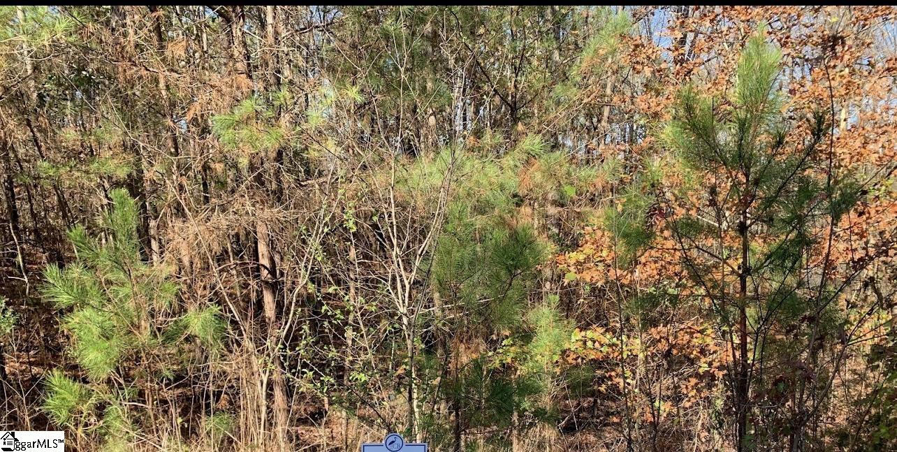 314 Waters Watersedge Drive UNIT Lot 92 Cross Hill, SC 29332